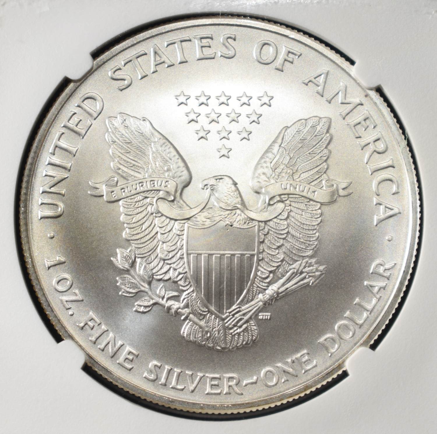 2004 AMERICAN SILVER EAGLE NGC MS69