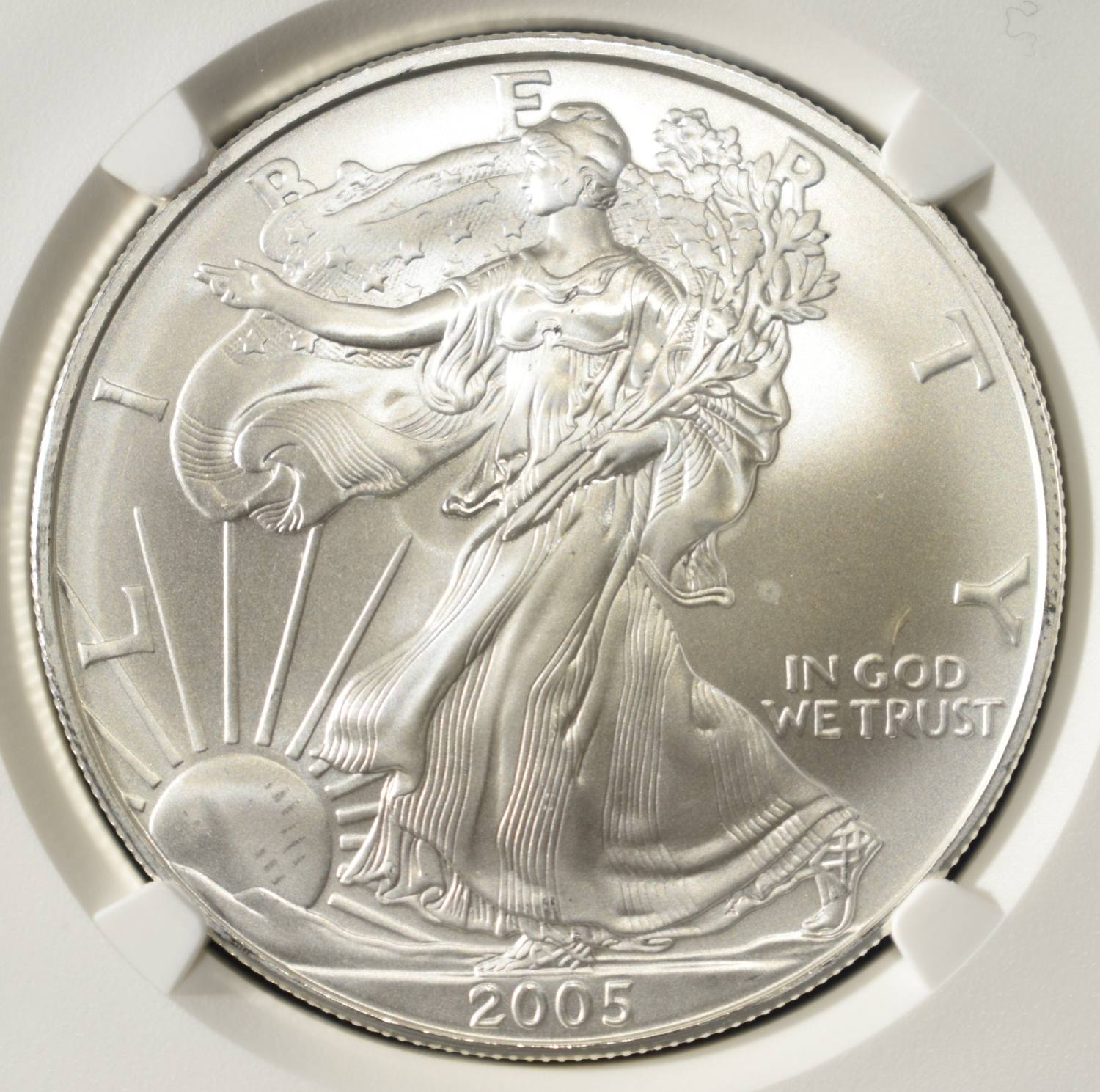 2005 AMERICAN SILVER EAGLE NGC MS69