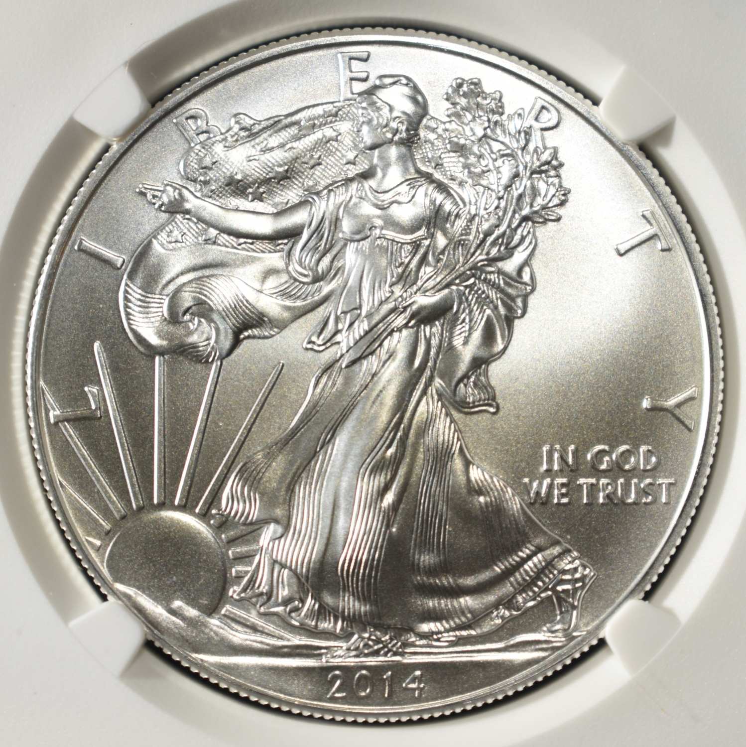2014 AMERICAN SILVER EAGLE NGC MS69