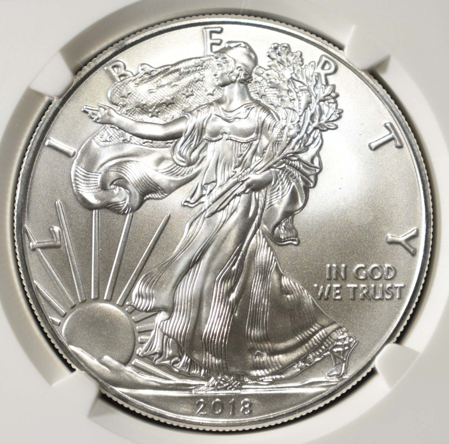 2018 AMERICAN SILVER EAGLE NGC MS69