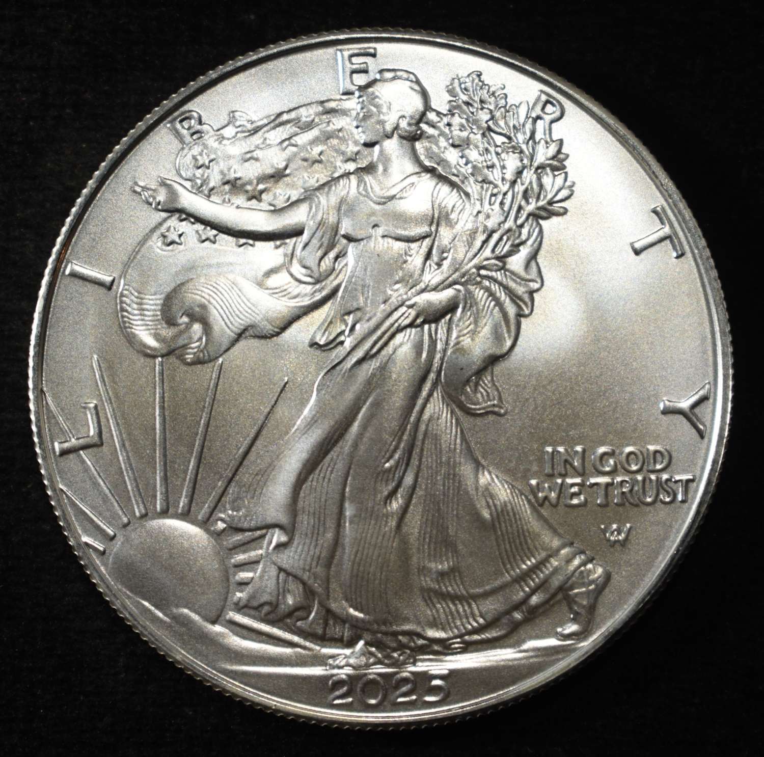 2025 AMERICAN SILVER EAGLE