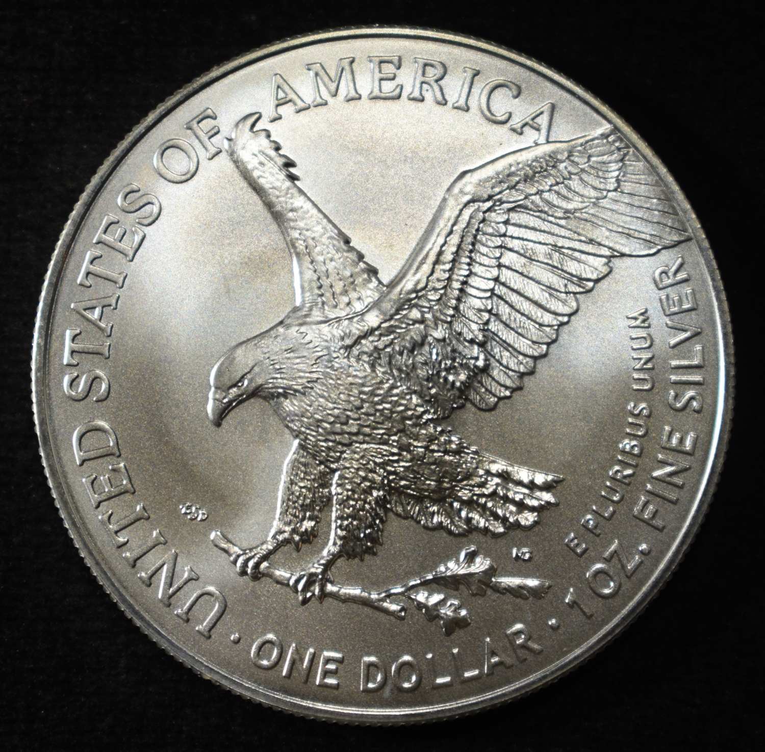 2025 AMERICAN SILVER EAGLE