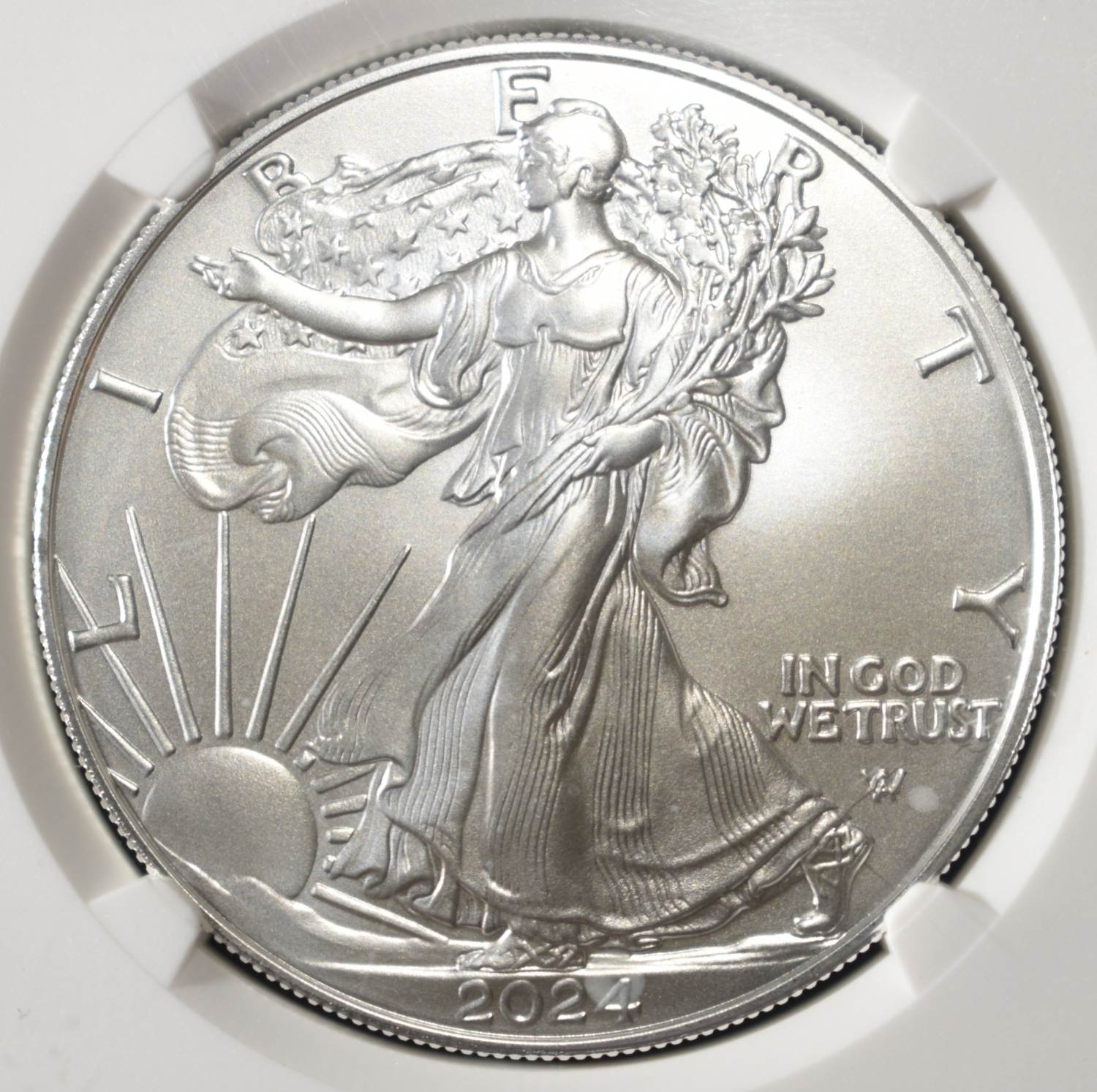 2024-W AMERICAN SILVER EAGLE NGC MS70 BURNISHED