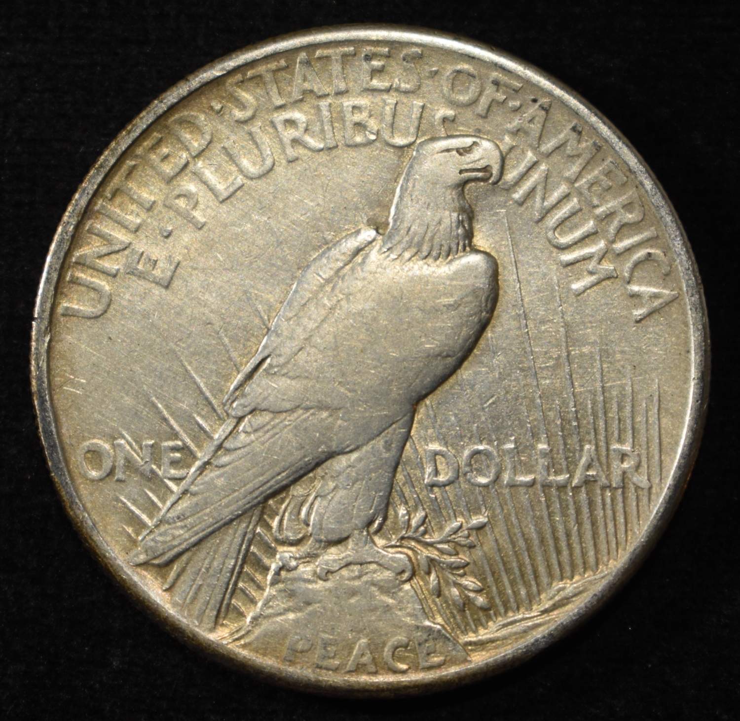1921 PEACE DOLLAR XF