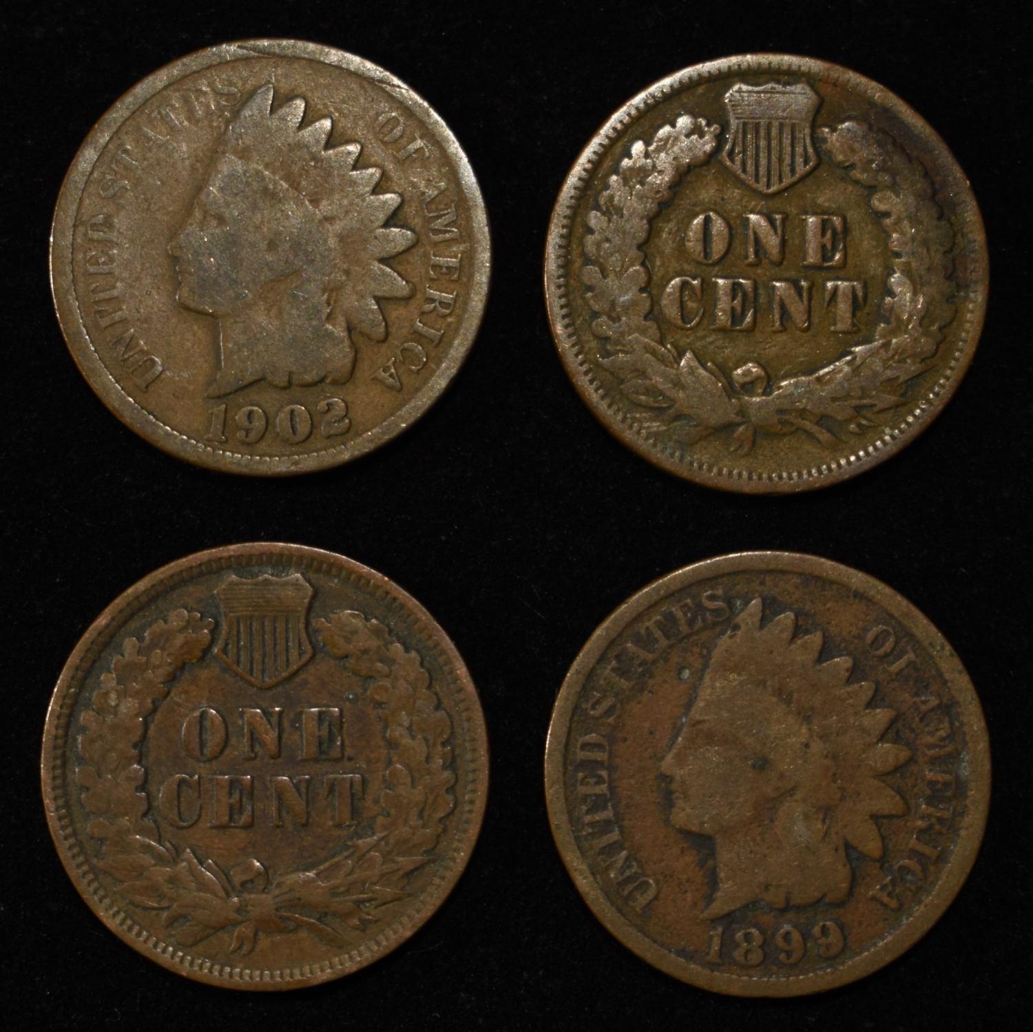 (50) INDIAN CENTS