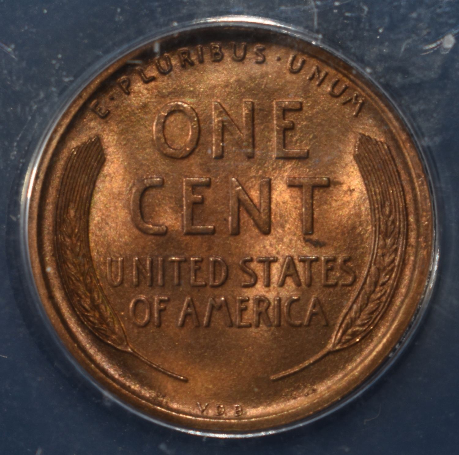 1909-VDB WHEAT CENT ANACS MS65 RB