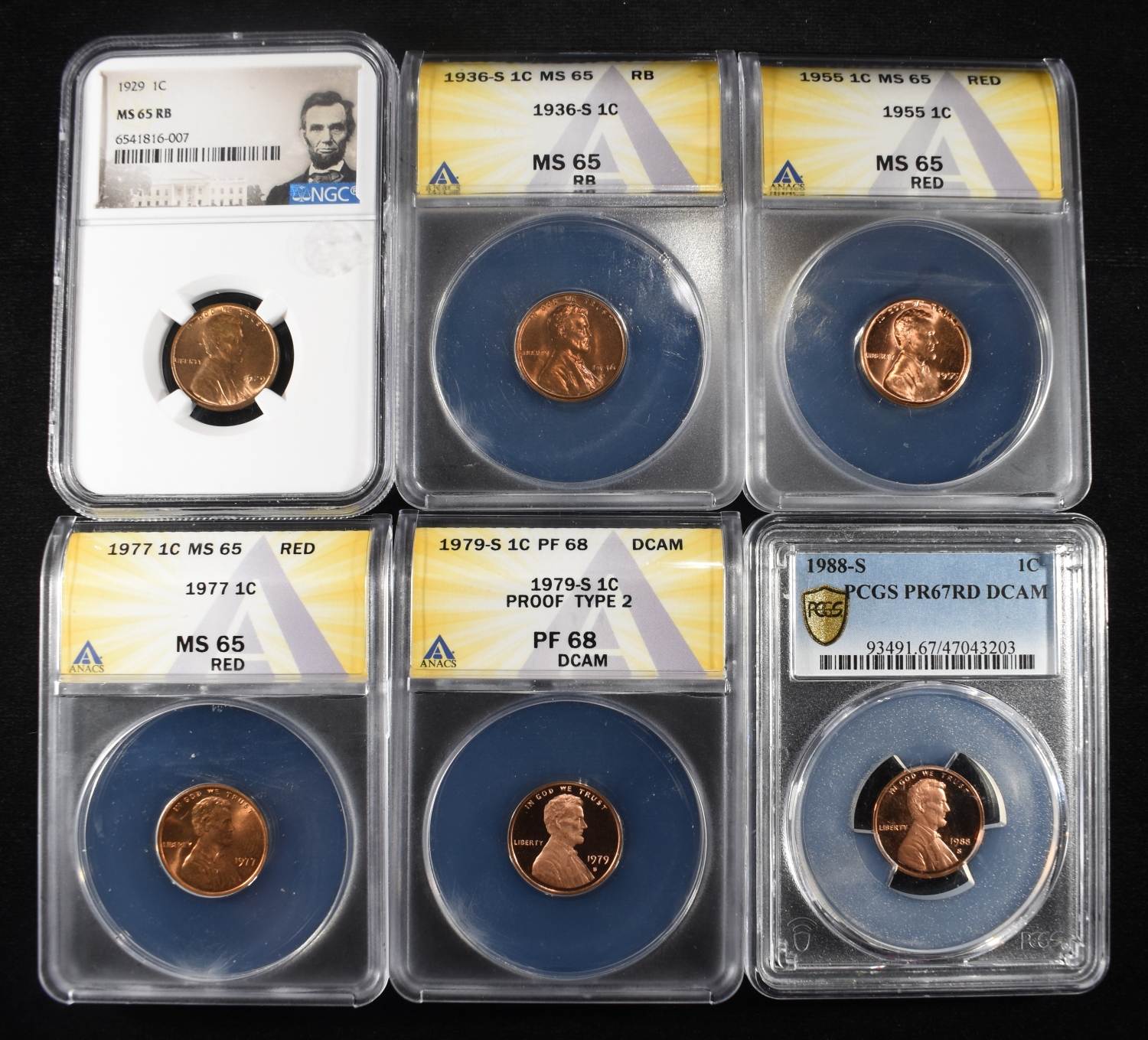 (6) GRADED LINCOLN CENTS