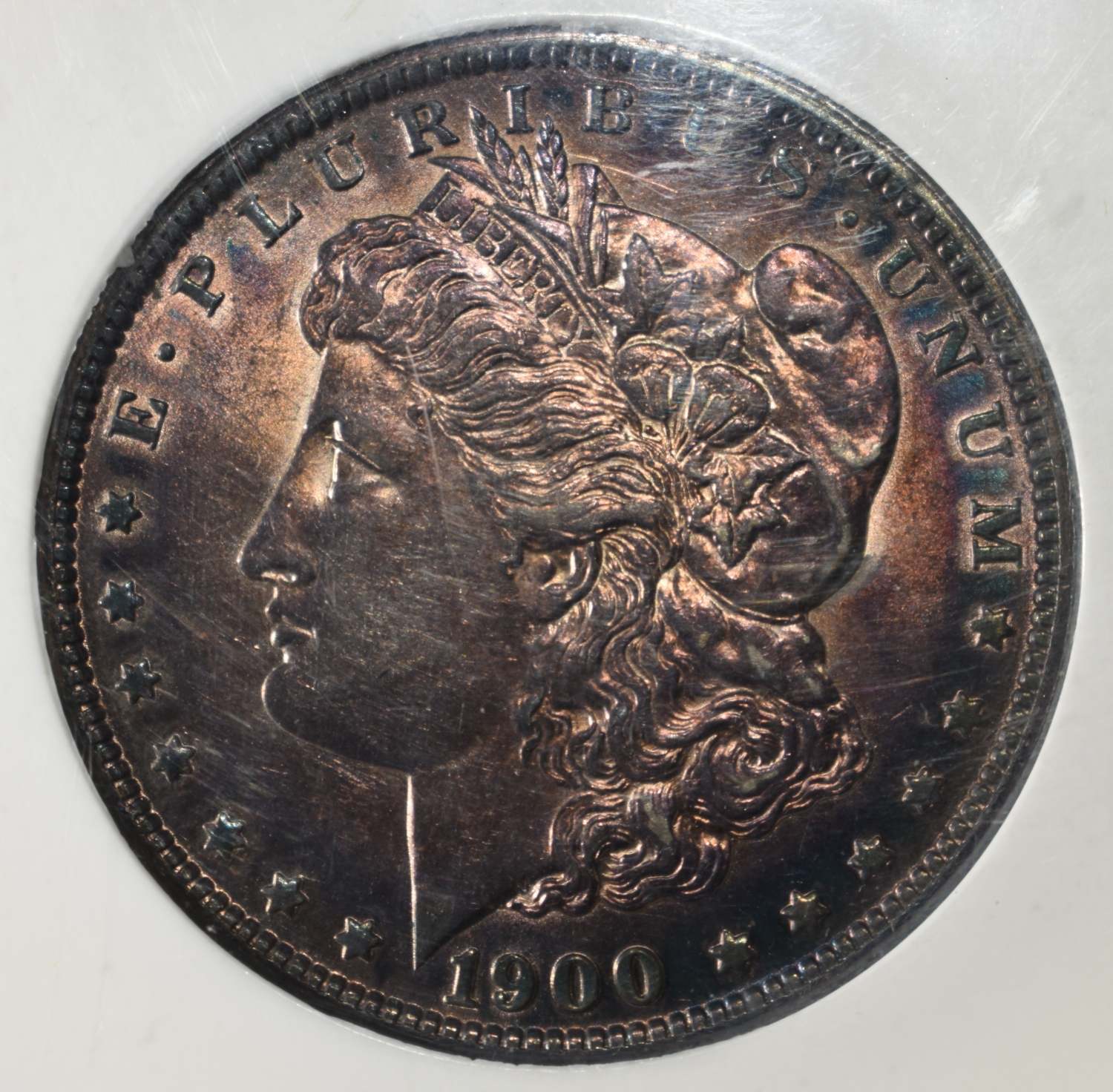 1900 MORGAN DOLLAR PCI GEM BU