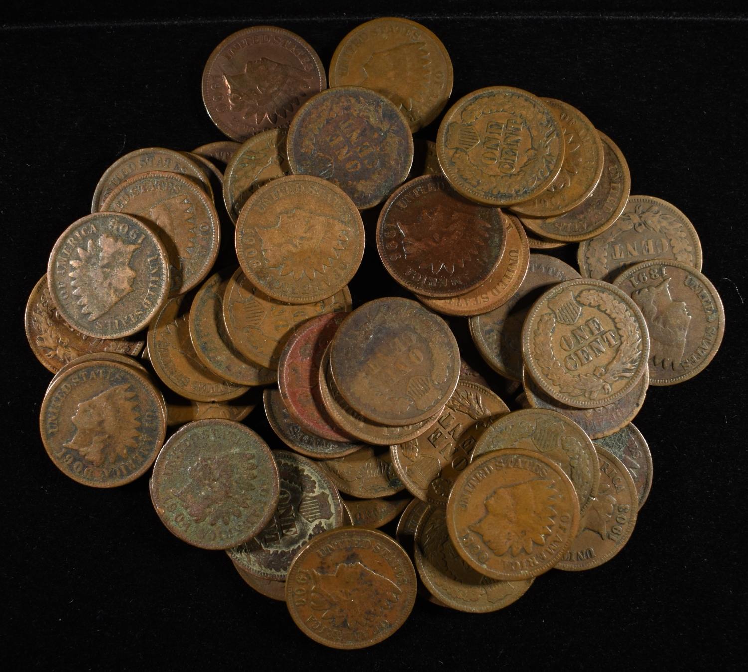 (50) INDIAN CENTS