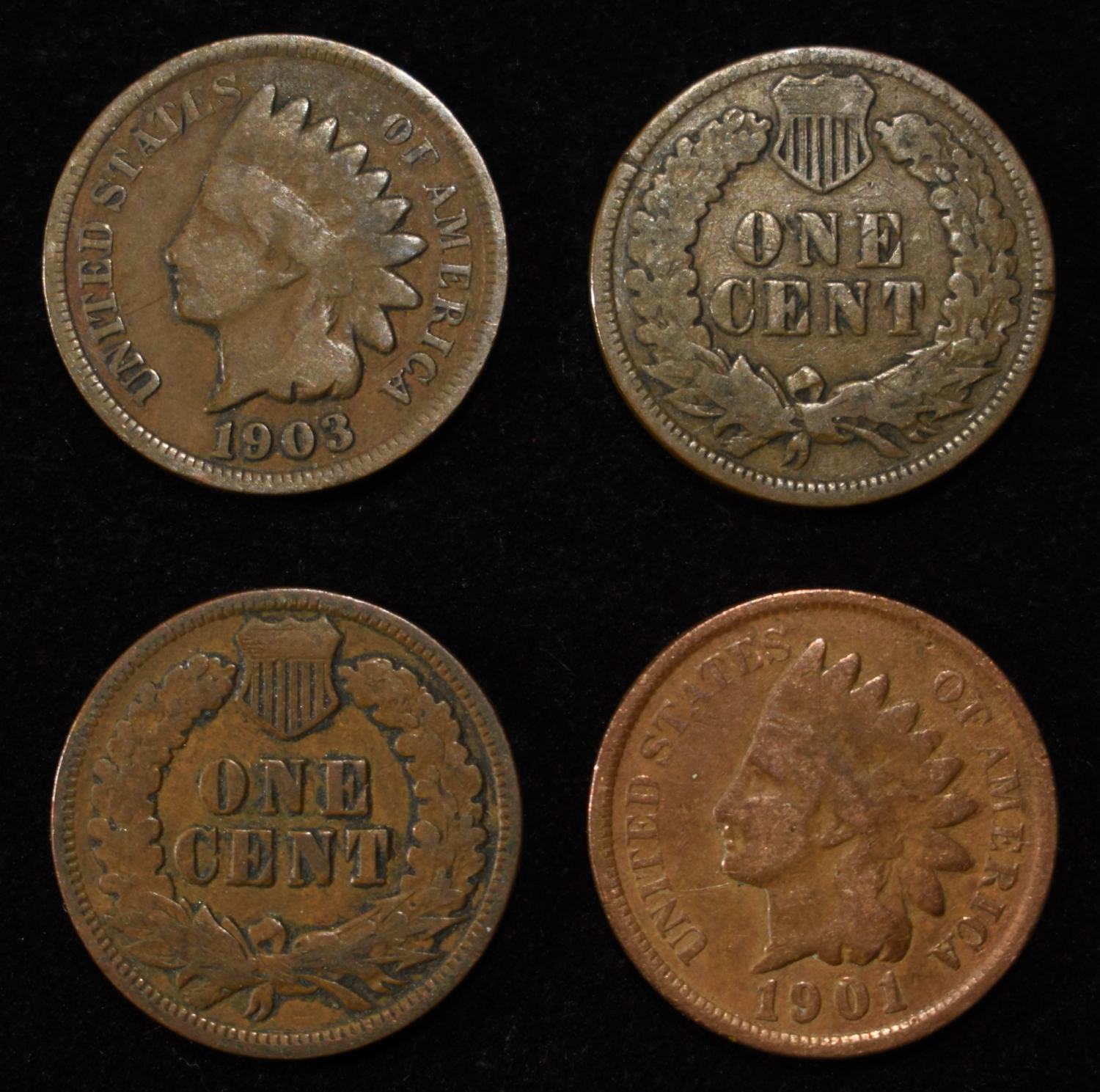 (50) INDIAN CENTS