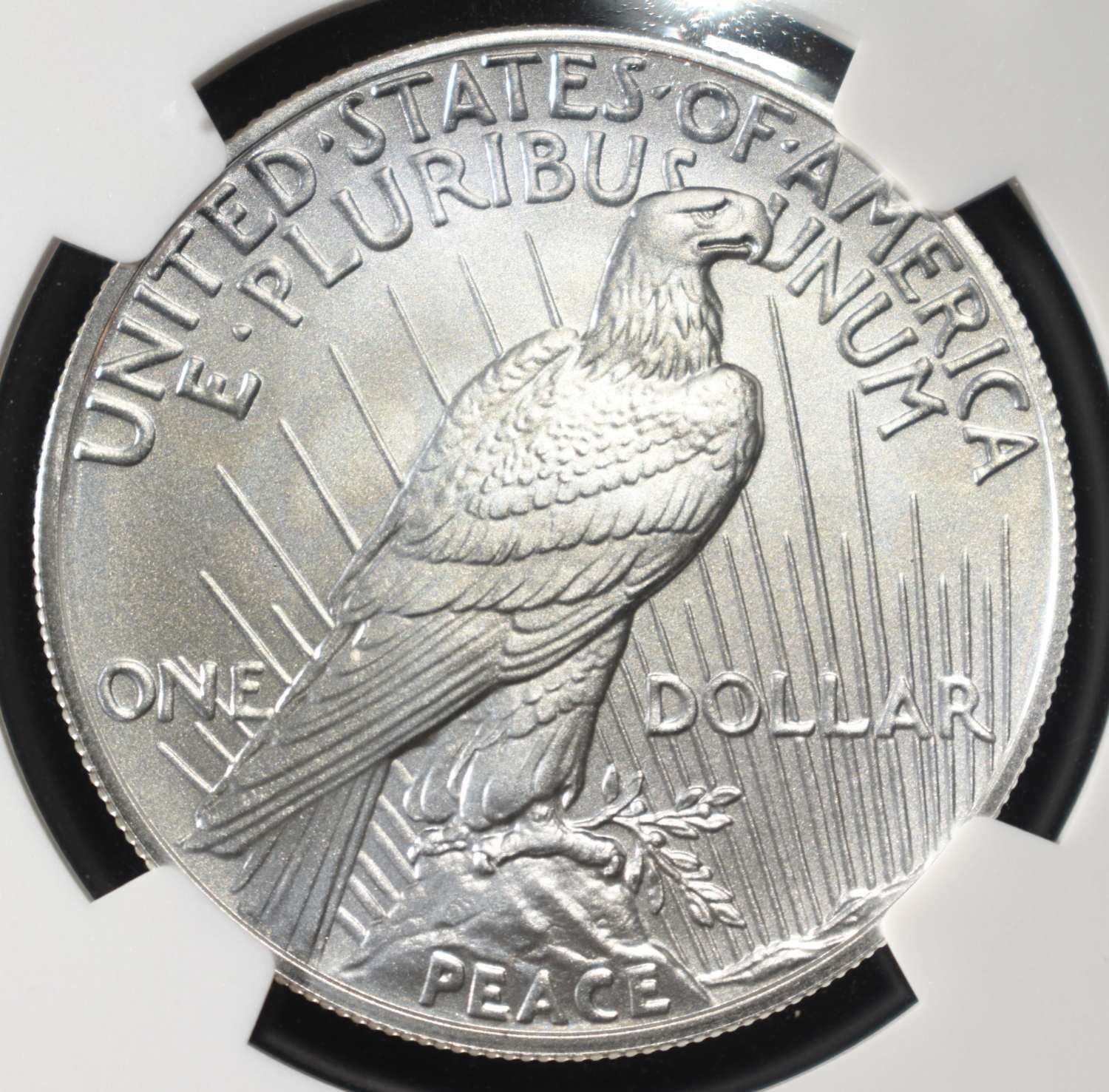 2024 PEACE DOLLAR NGC MS70 EARLY RELEASES