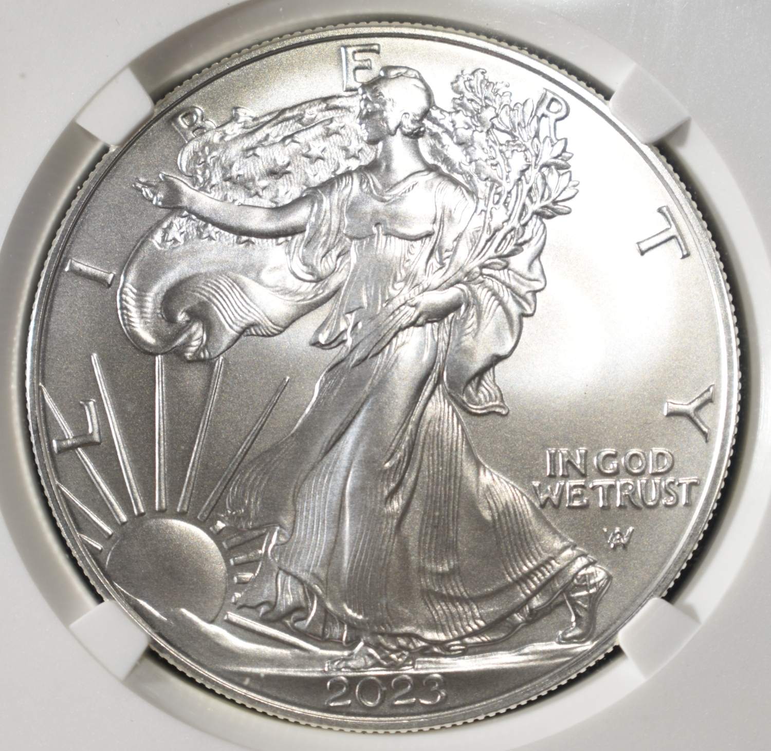 2023 AMERICAN SILVER EAGLE NGC MS70