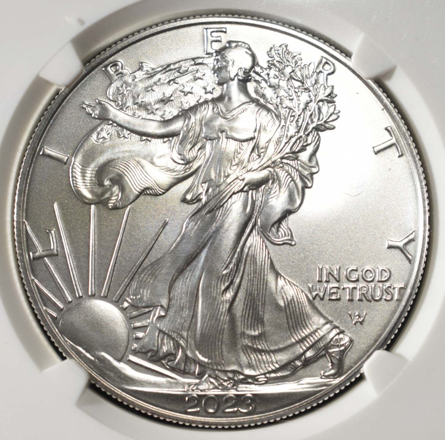 2023-W AMERICAN SILVER EAGLE NGC MS70 BURNISHED