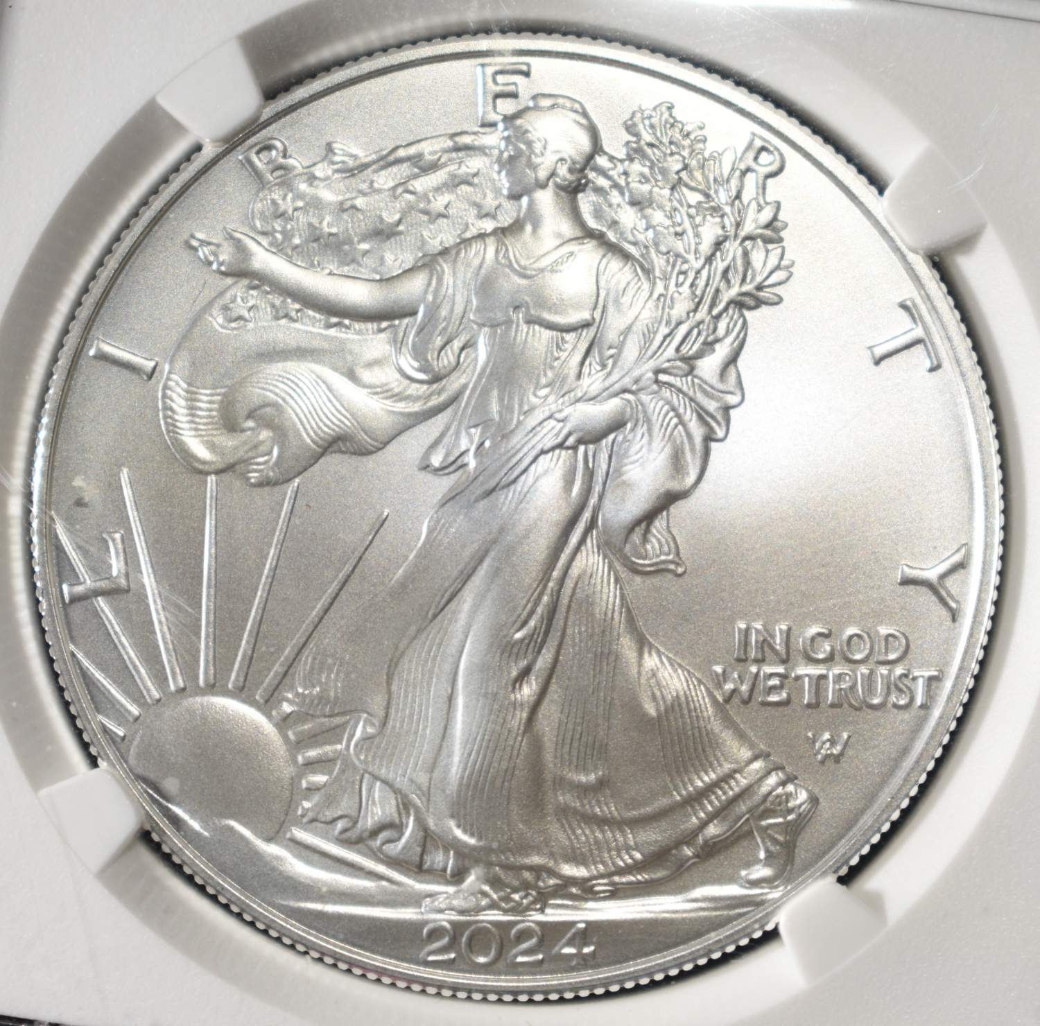 2024-W AMERICAN SILVER EAGLE NGC MS70 BURNISHED