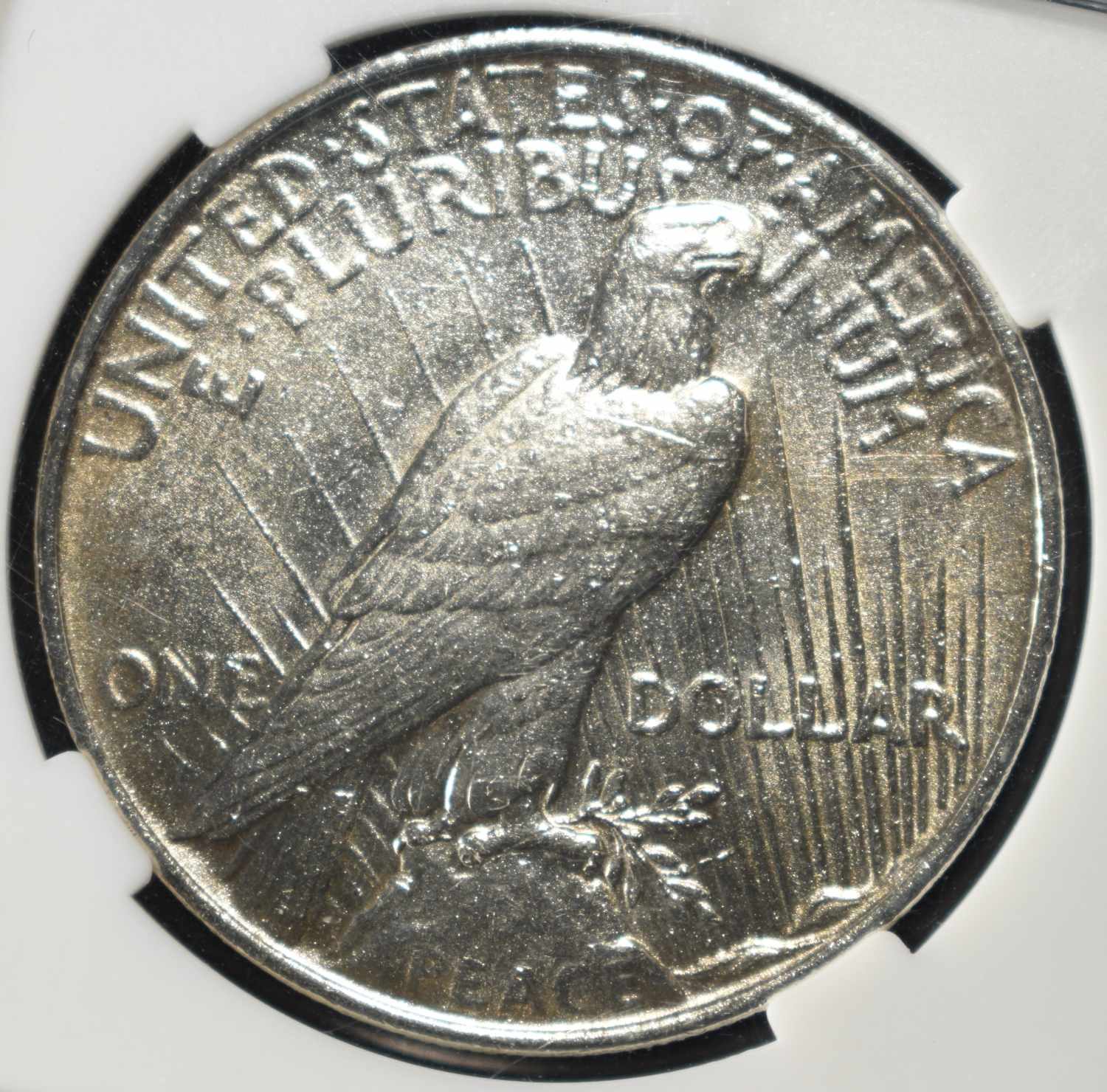 1923 PEACE DOLLAR