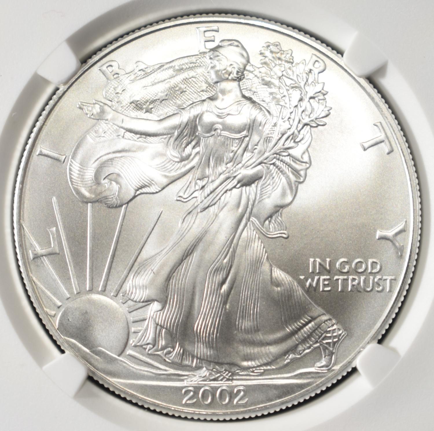 2002 AMERICAN SILVER EAGLE NGC MS69