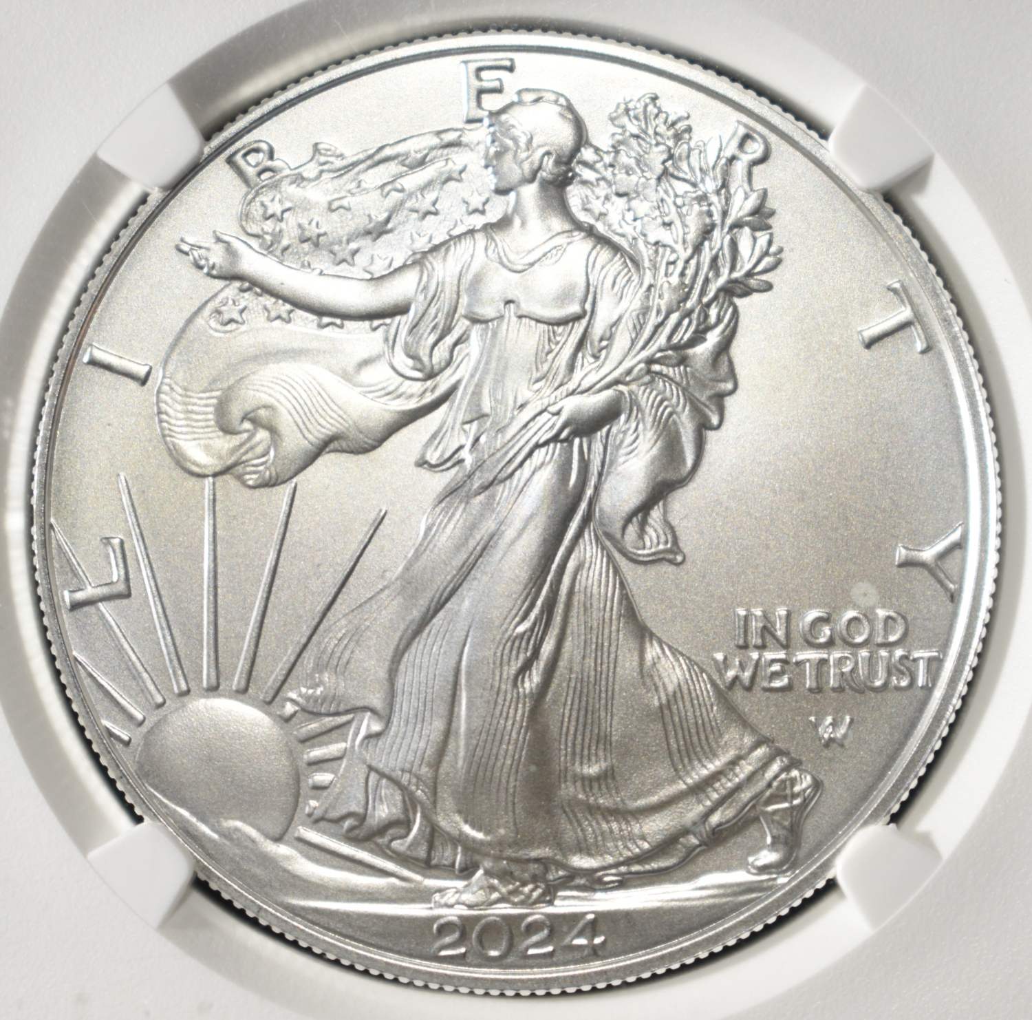 2024 W BURNISHED AMERICAN SILVER EAGLE MS70 NGC