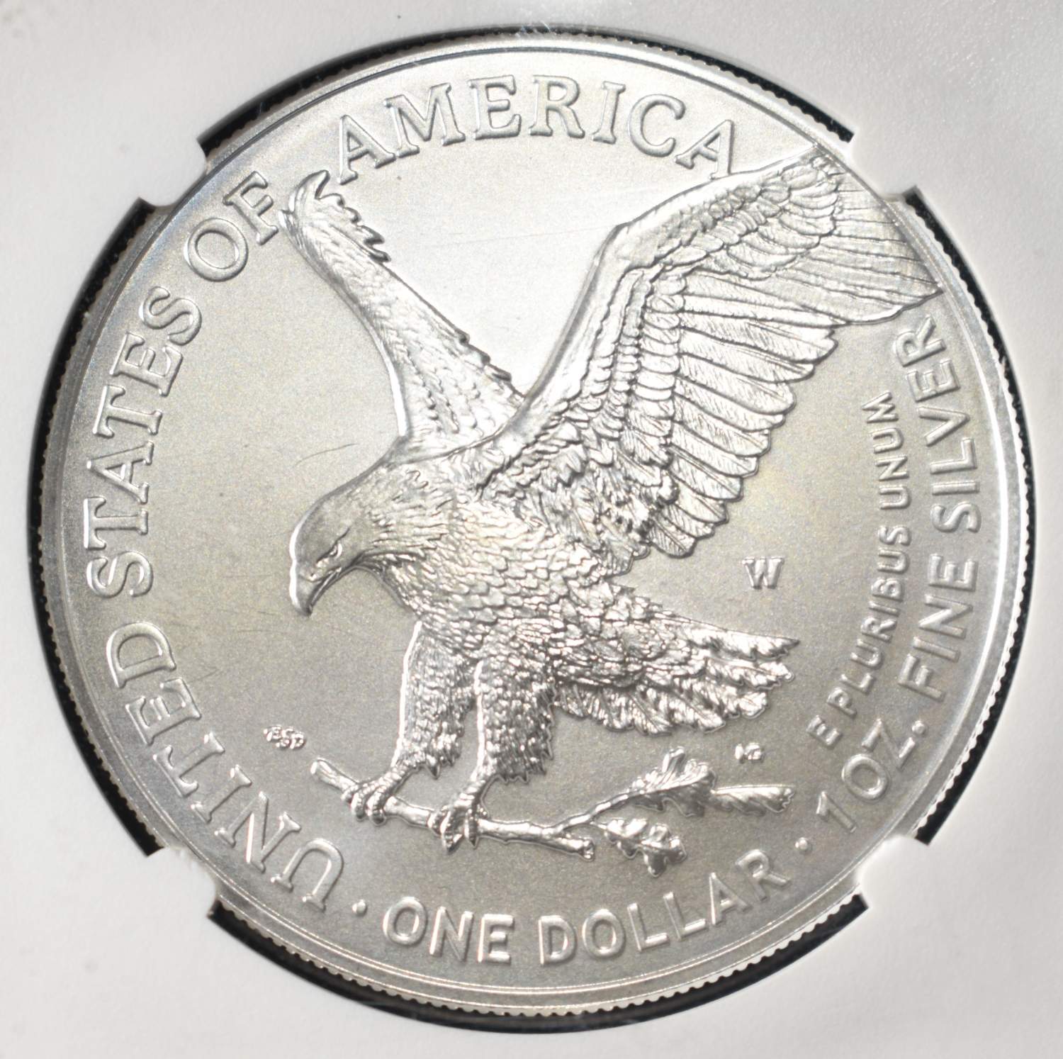 2024 W BURNISHED AMERICAN SILVER EAGLE MS70 NGC