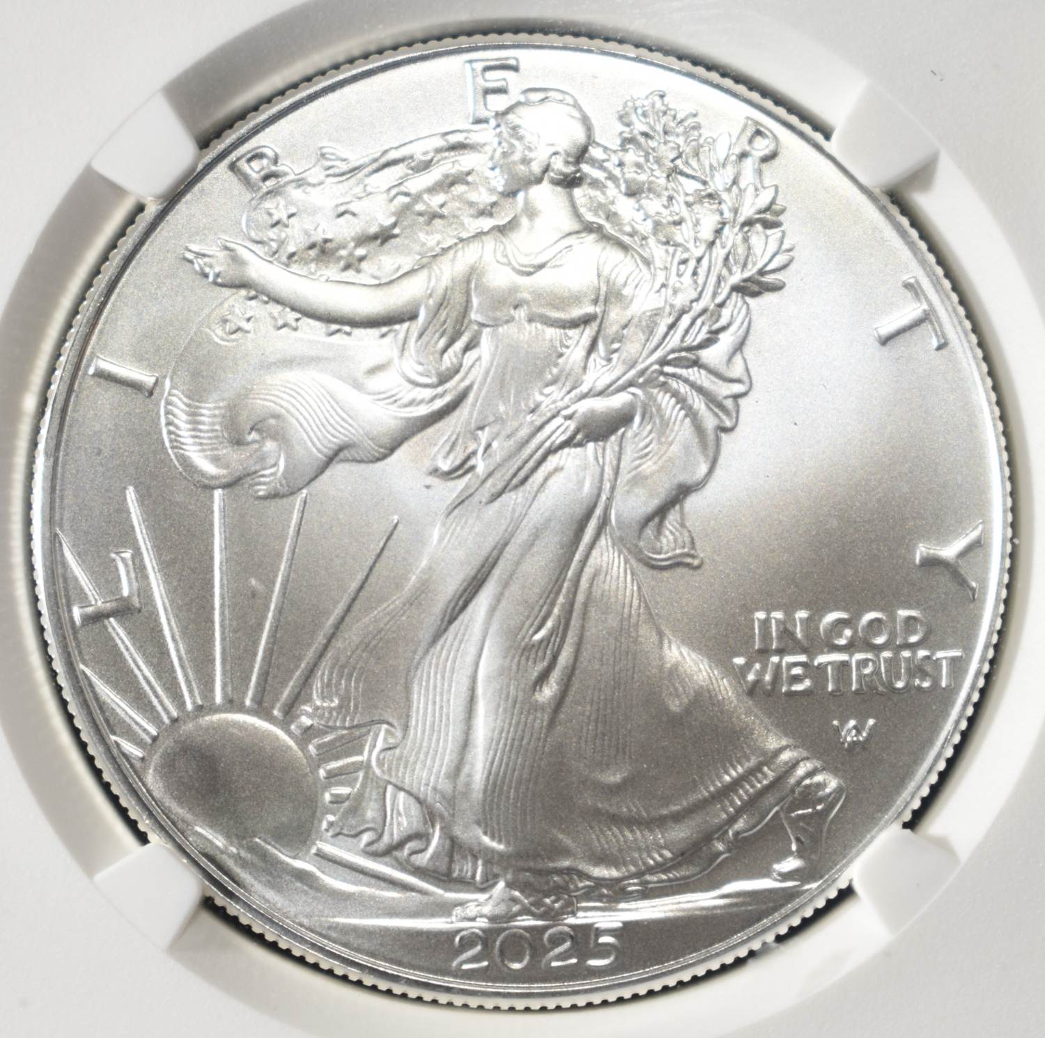 2025 AMERICAN SILVER EAGLE NGC MS69