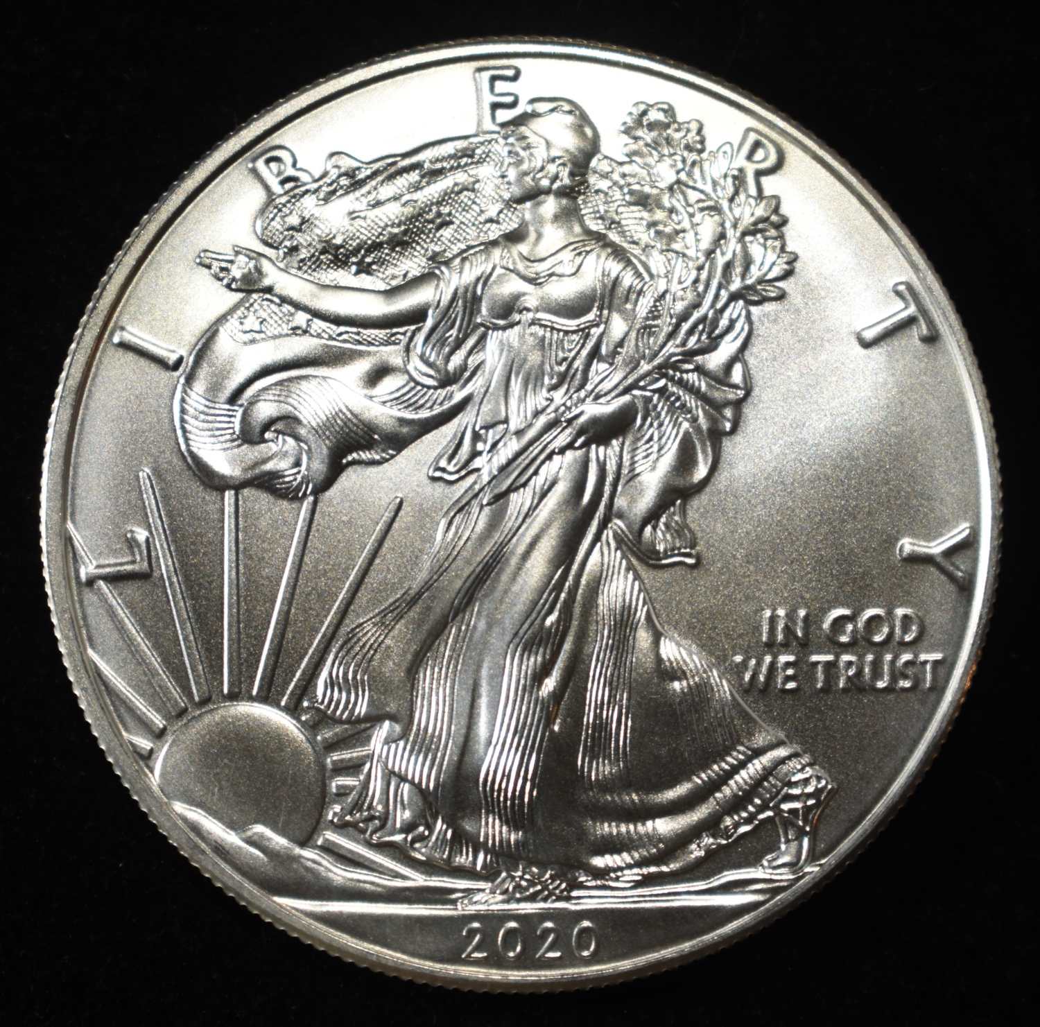 2020 AMERICAN SILVER EGALE