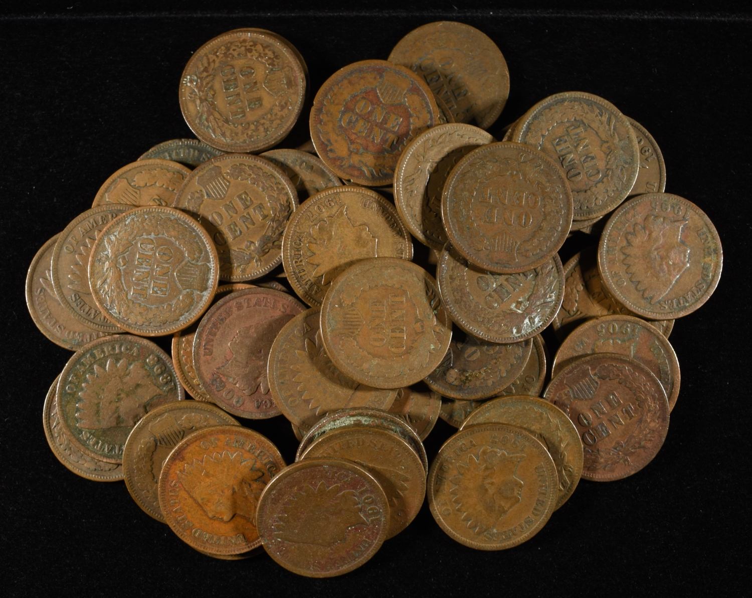 (50) INDIAN CENTS