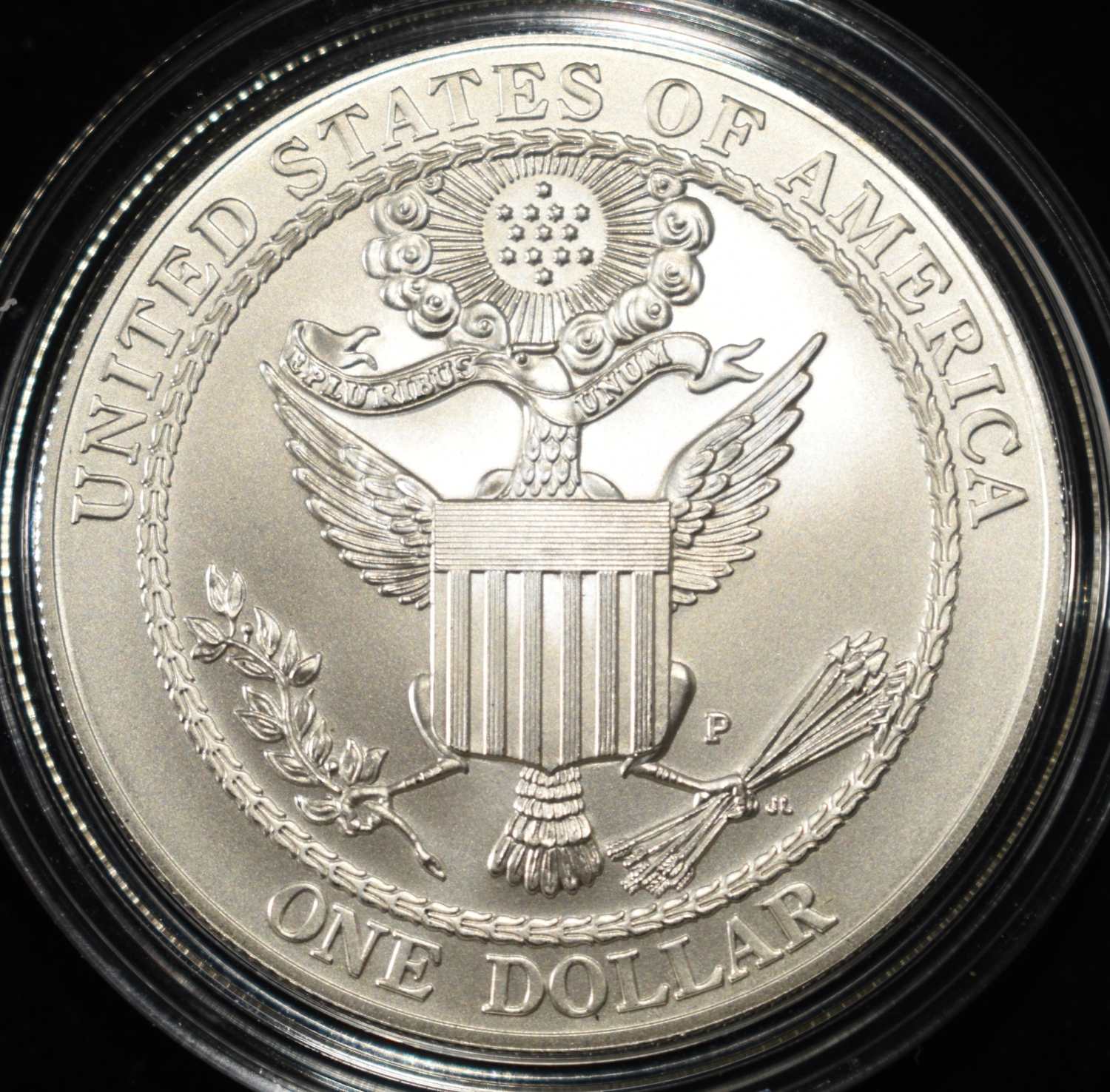 2008-P BALD EAGLE COMMEMORATIVE