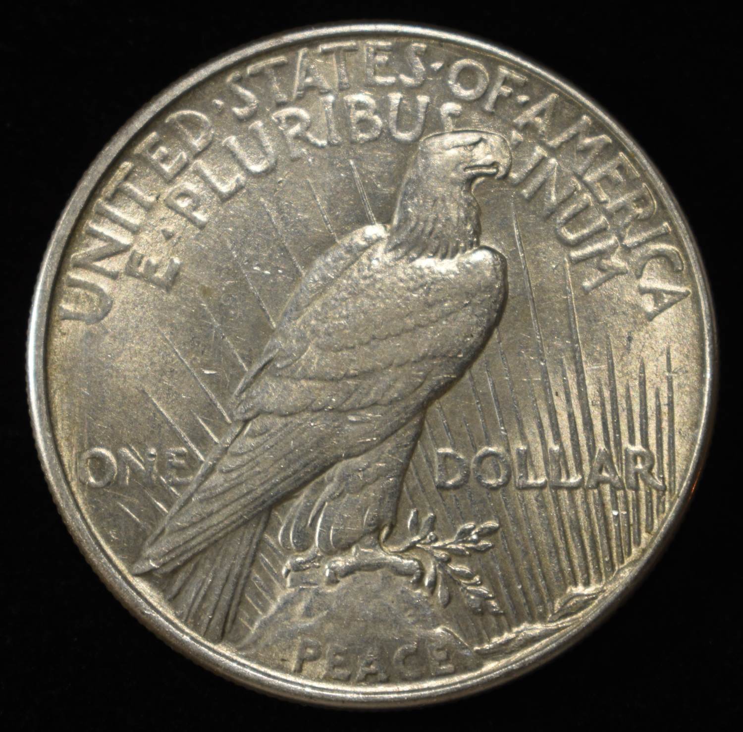 1934 PEACE DOLLAR CH AU