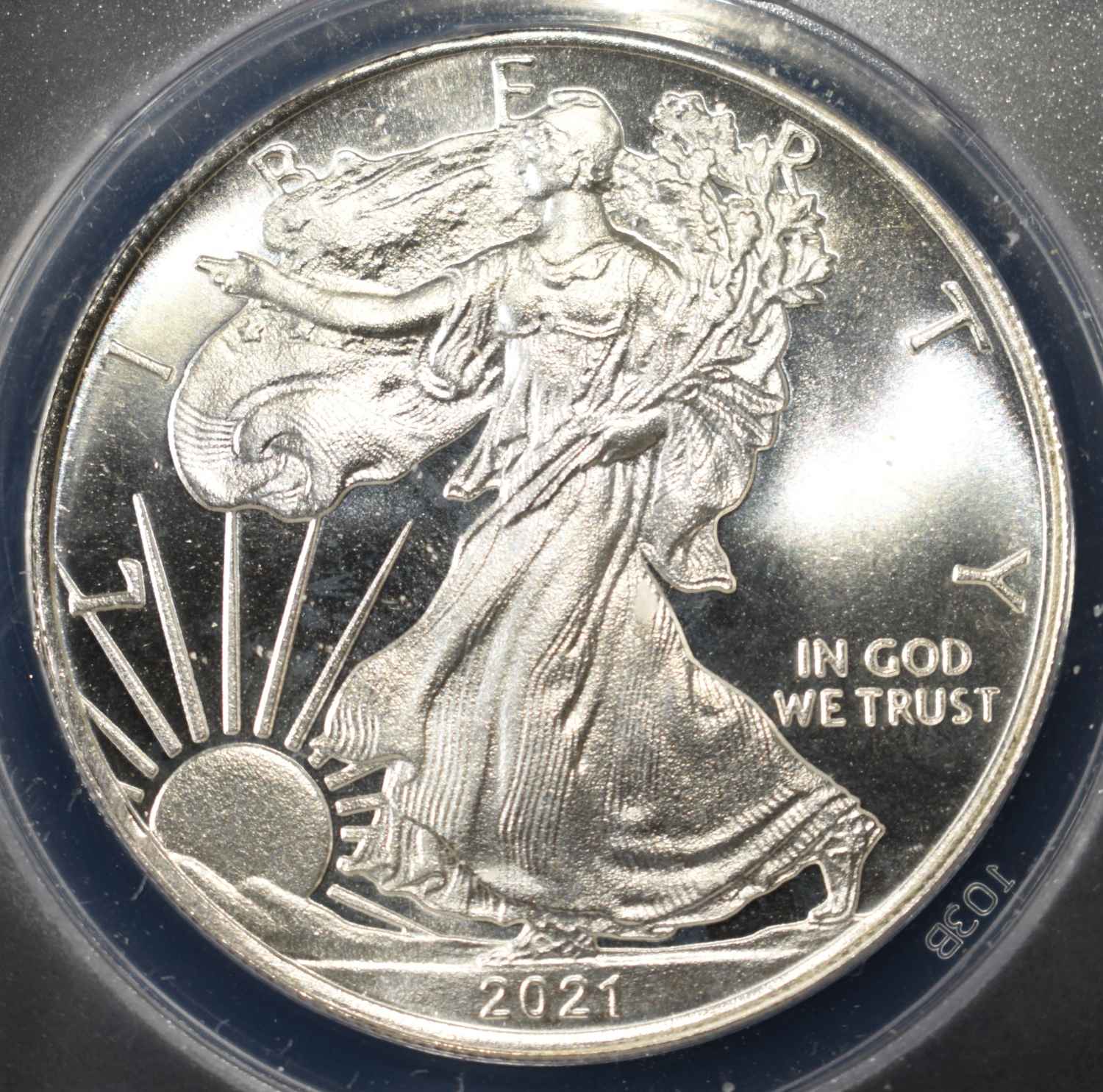 2021-CC CONCEPT DOLLAR 1 OZ 0.999 ANACS MS69