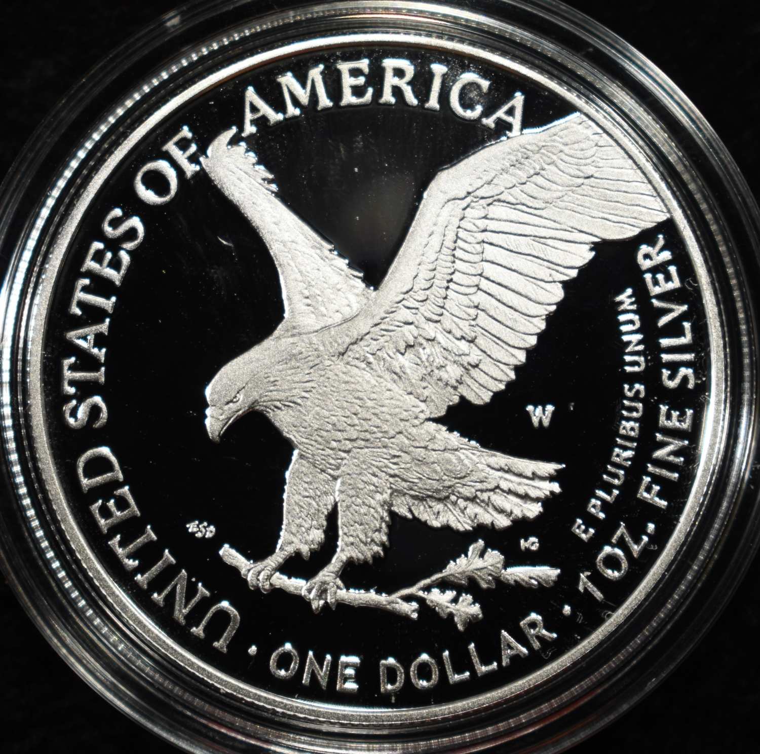 2024-W AMERICAN SILVER EAGLE PROOF