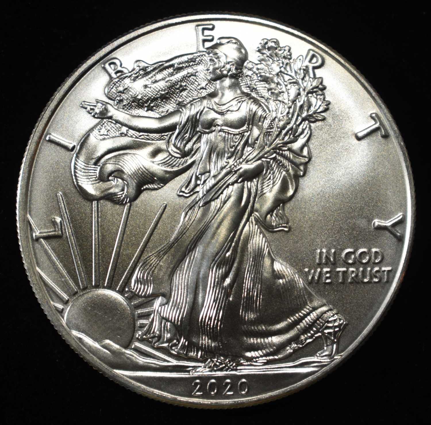 2020 AMERICAN SILVER EGALE
