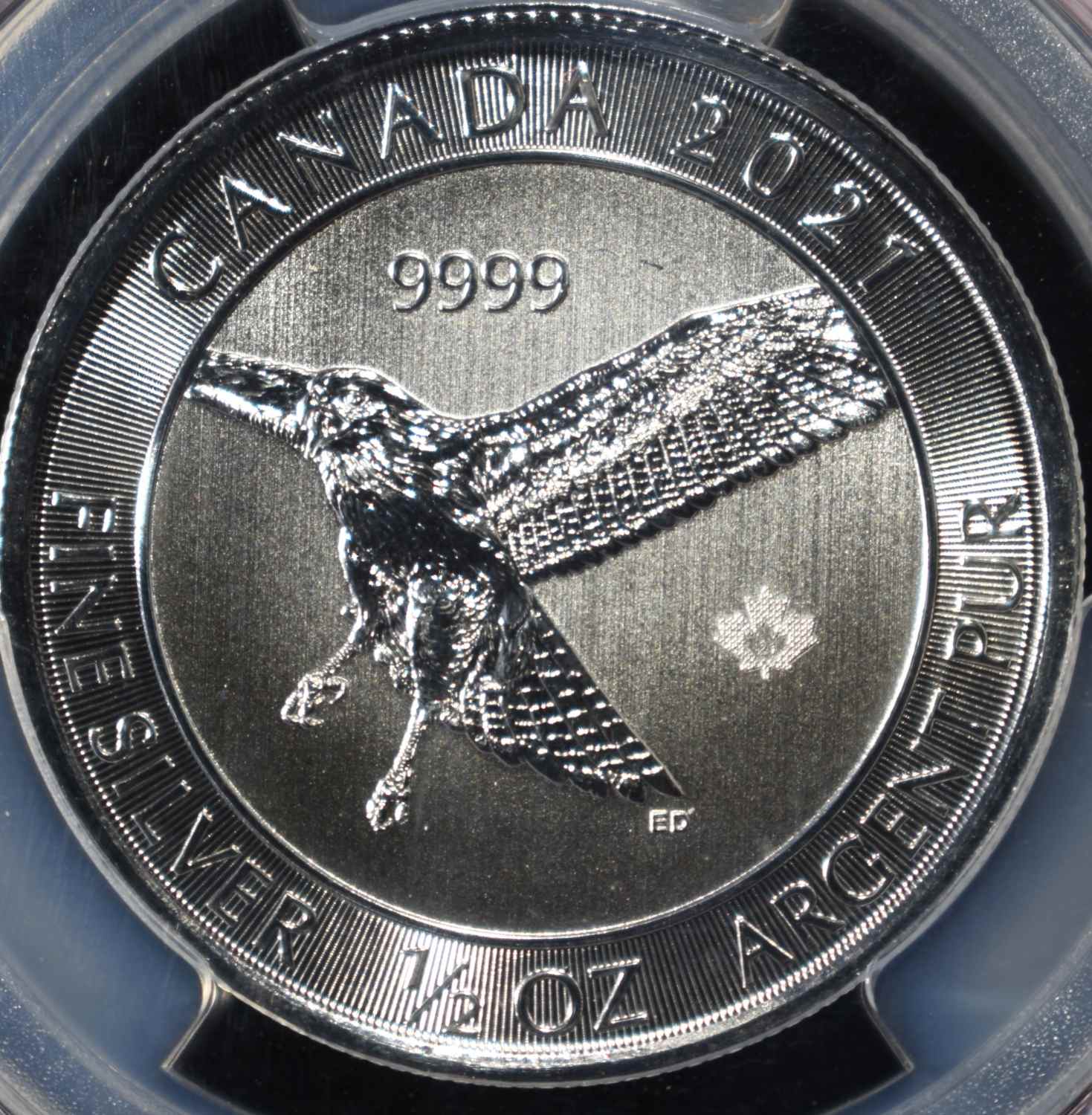2021 CANADA RED TAILED HAWK 1/2OZ SILVER PCGS MS69