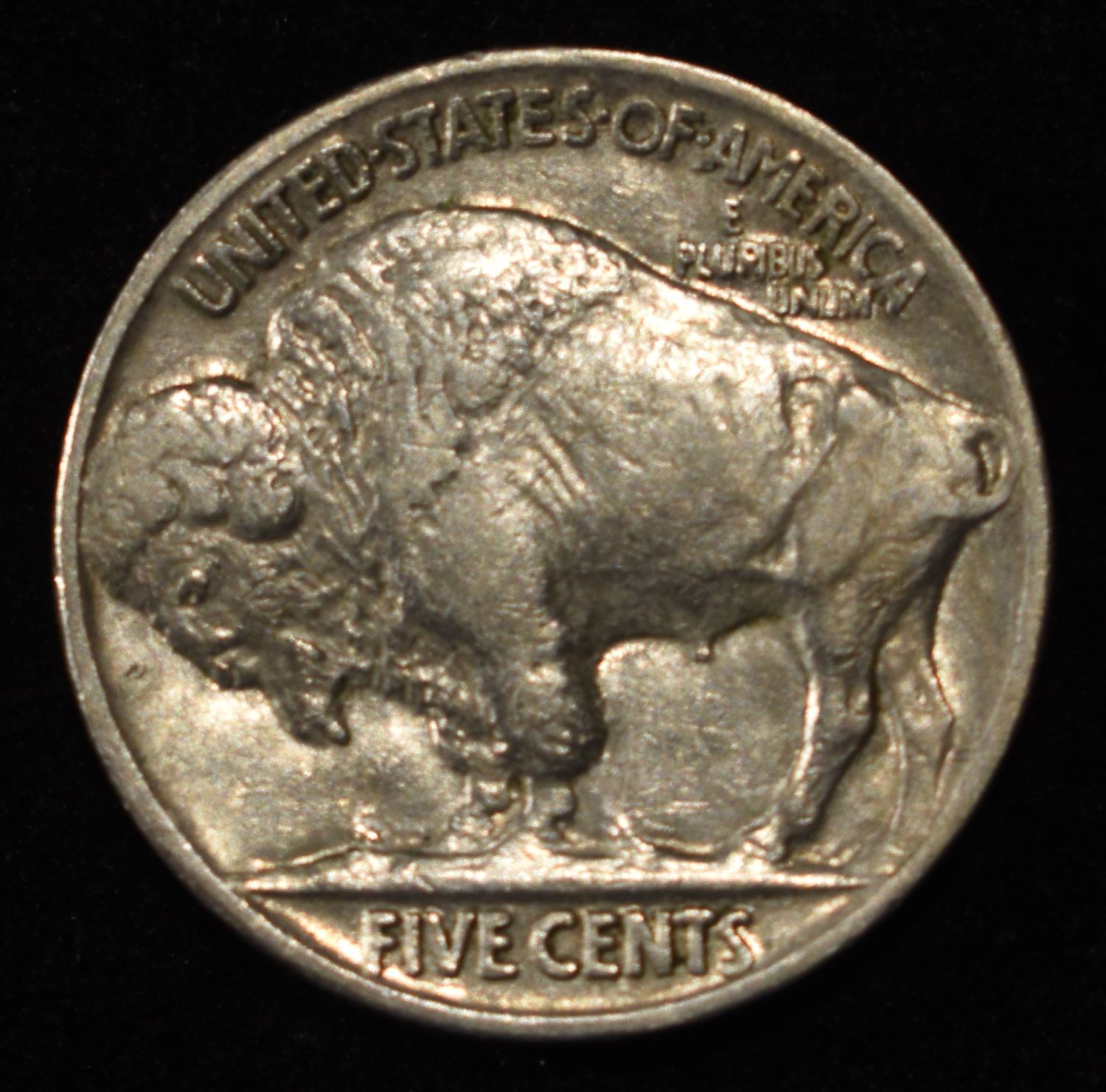 1921 BUFFALO NICKEL AU