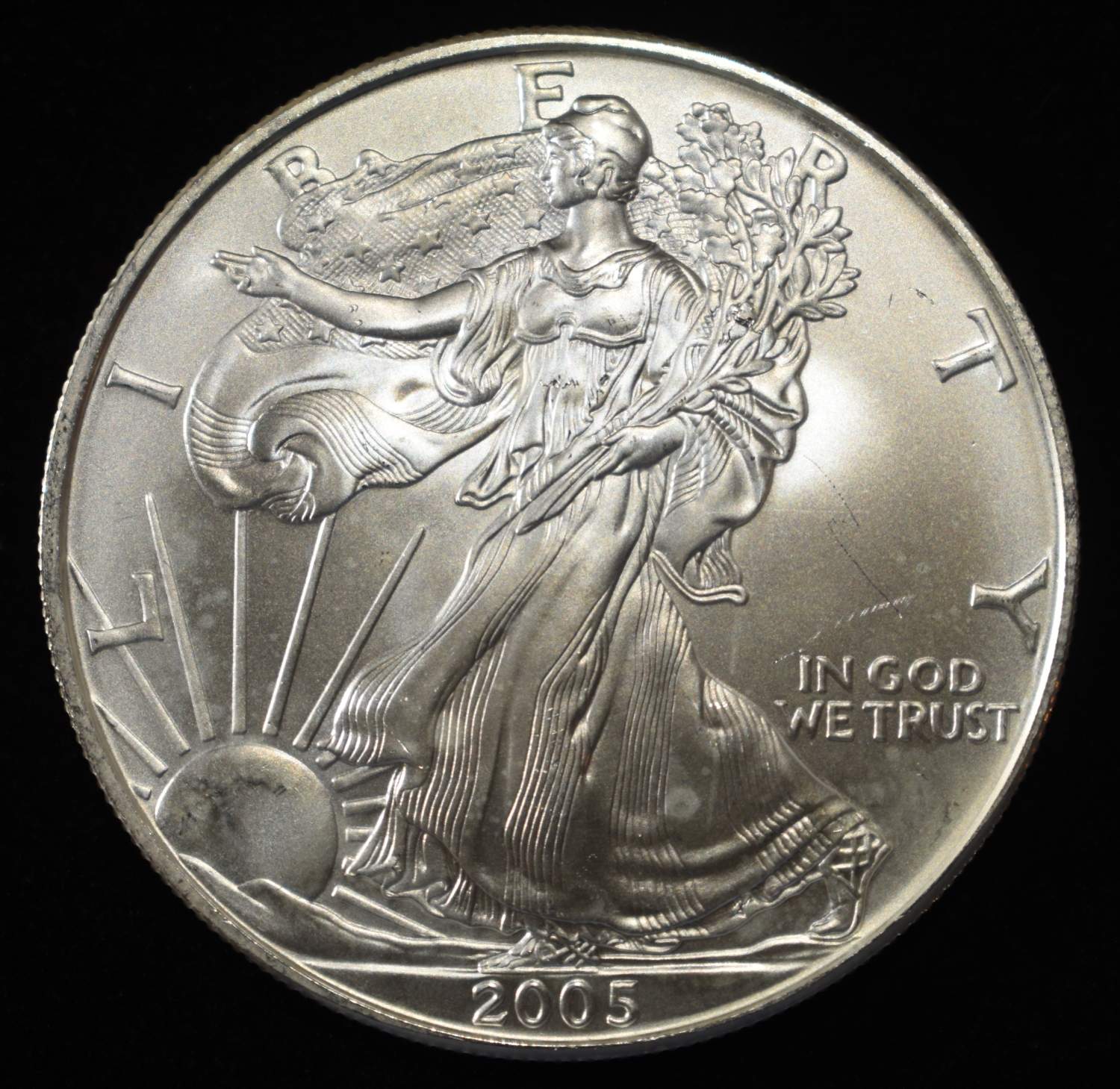2005 AMERICAN SILVER EAGLE