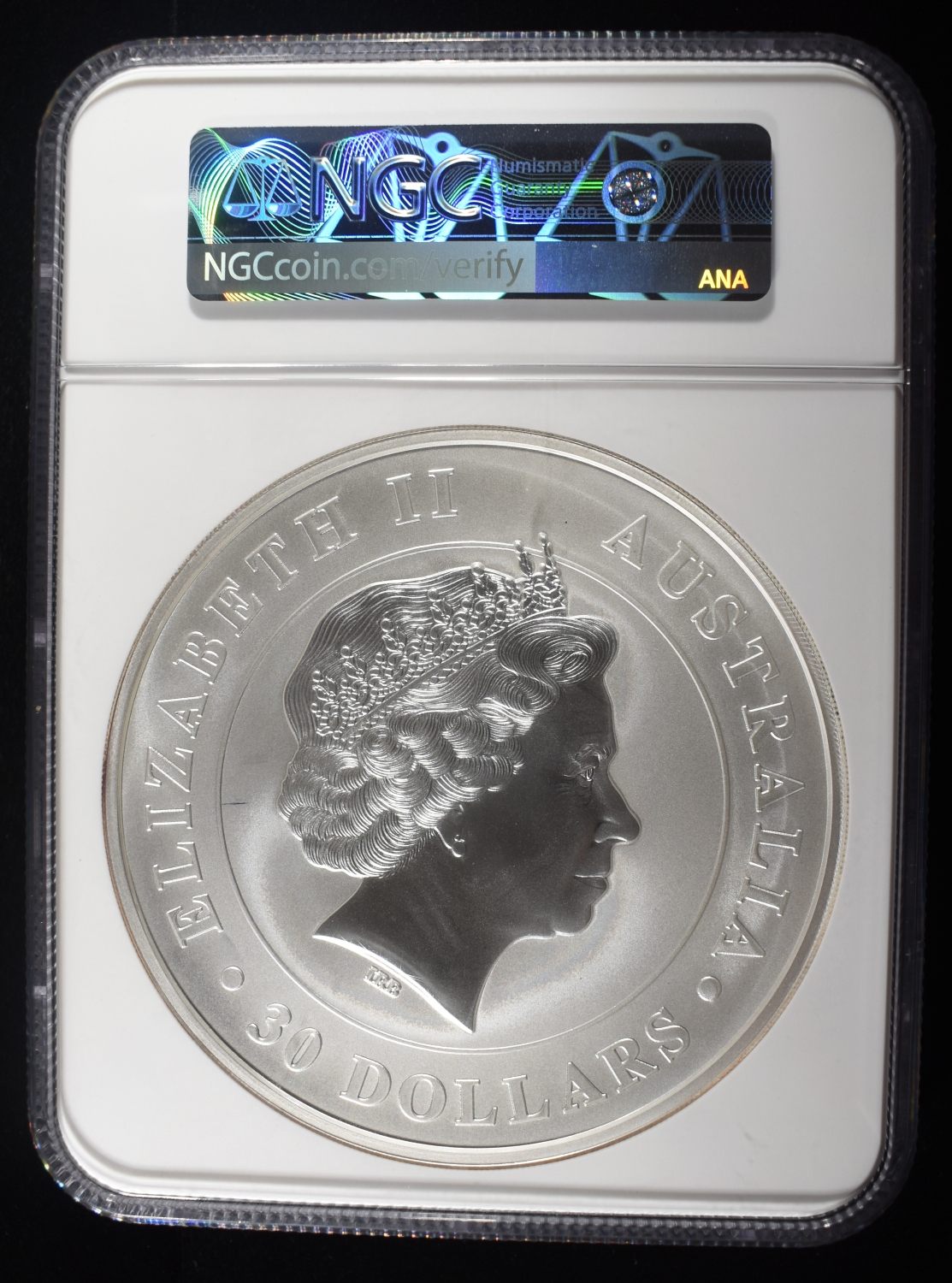 2013-P AUSTRALIA KOALA 1 KILO SILVER NGC MS-69