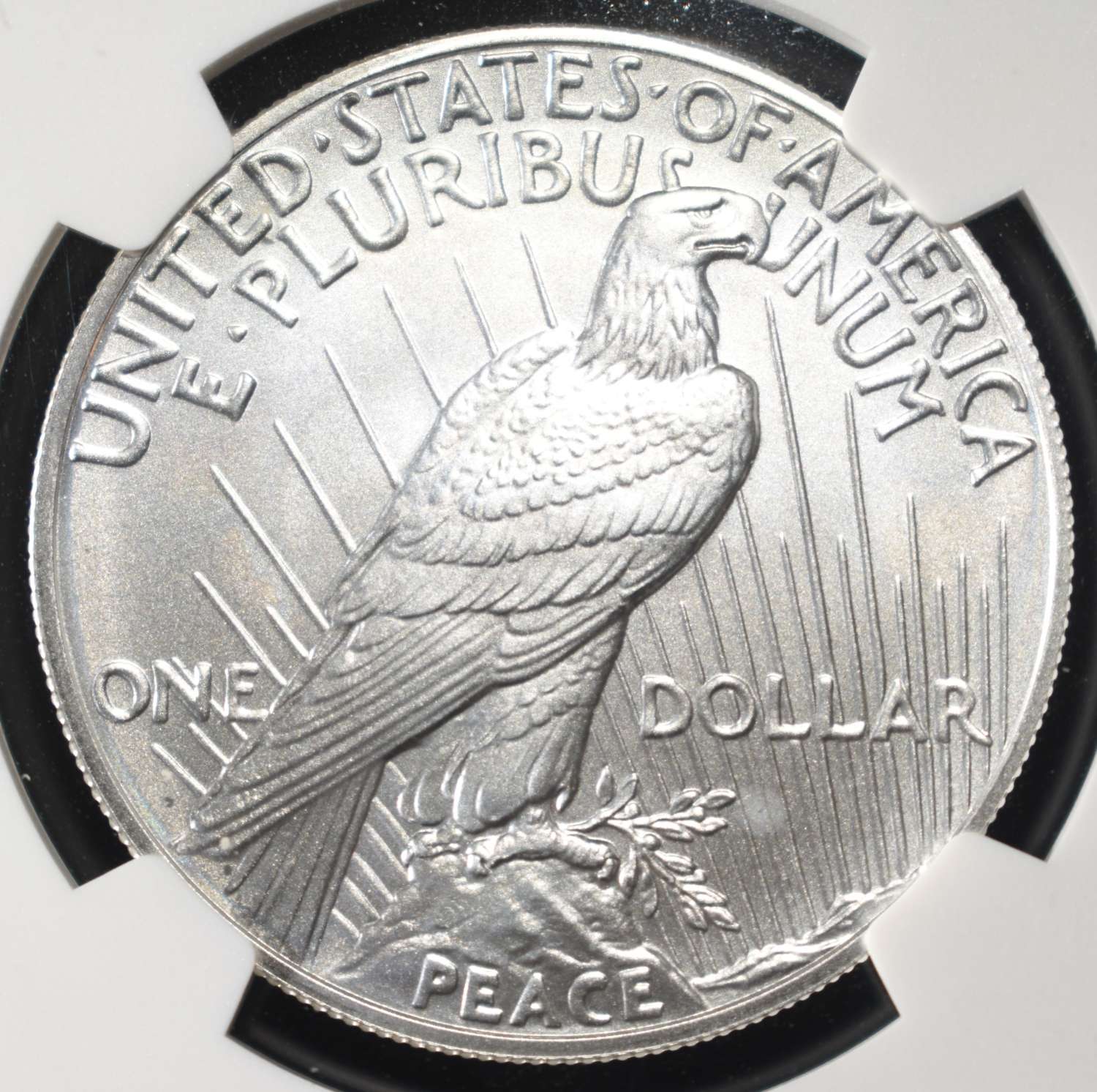 2024 PEACE DOLLAR NGC MS70 EARLY RELEASES