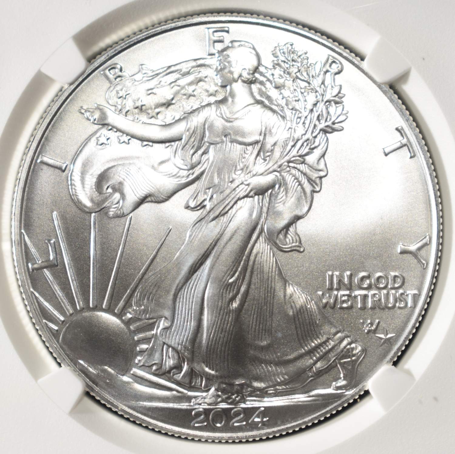 2024 (P) AMERICAN SILVER EAGLE NGC MS70 STAR PRIVY