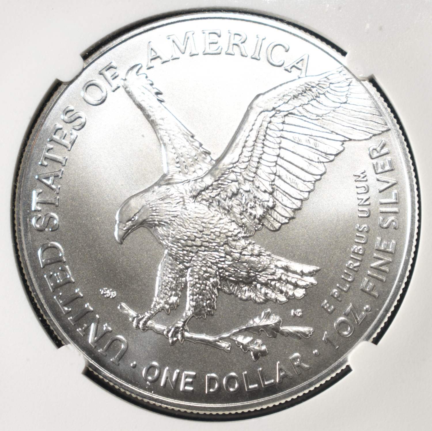 2024 (P) AMERICAN SILVER EAGLE NGC MS70 STAR PRIVY