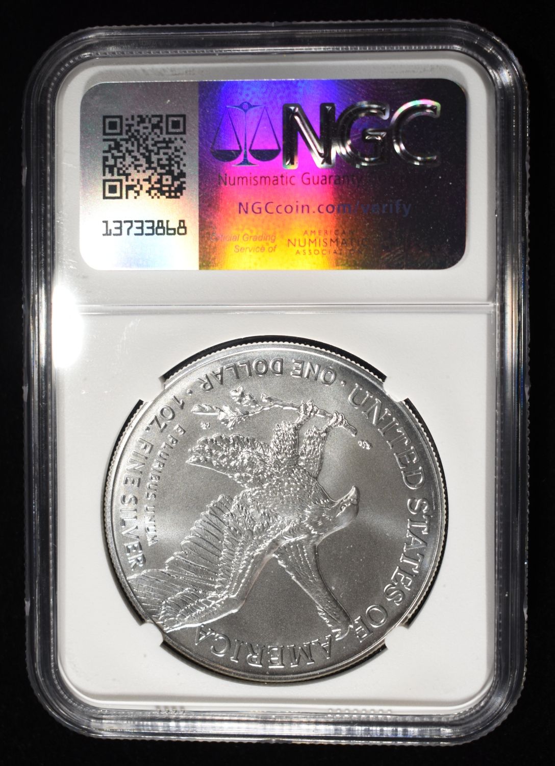2024 (P) AMERICAN SILVER EAGLE NGC MS70 STAR PRIVY