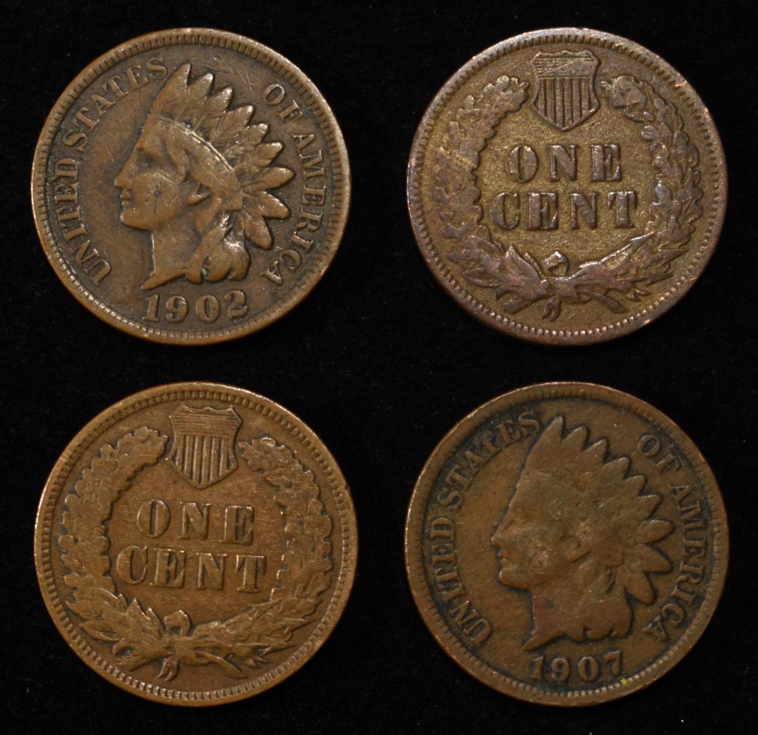 (50) INDIAN CENTS