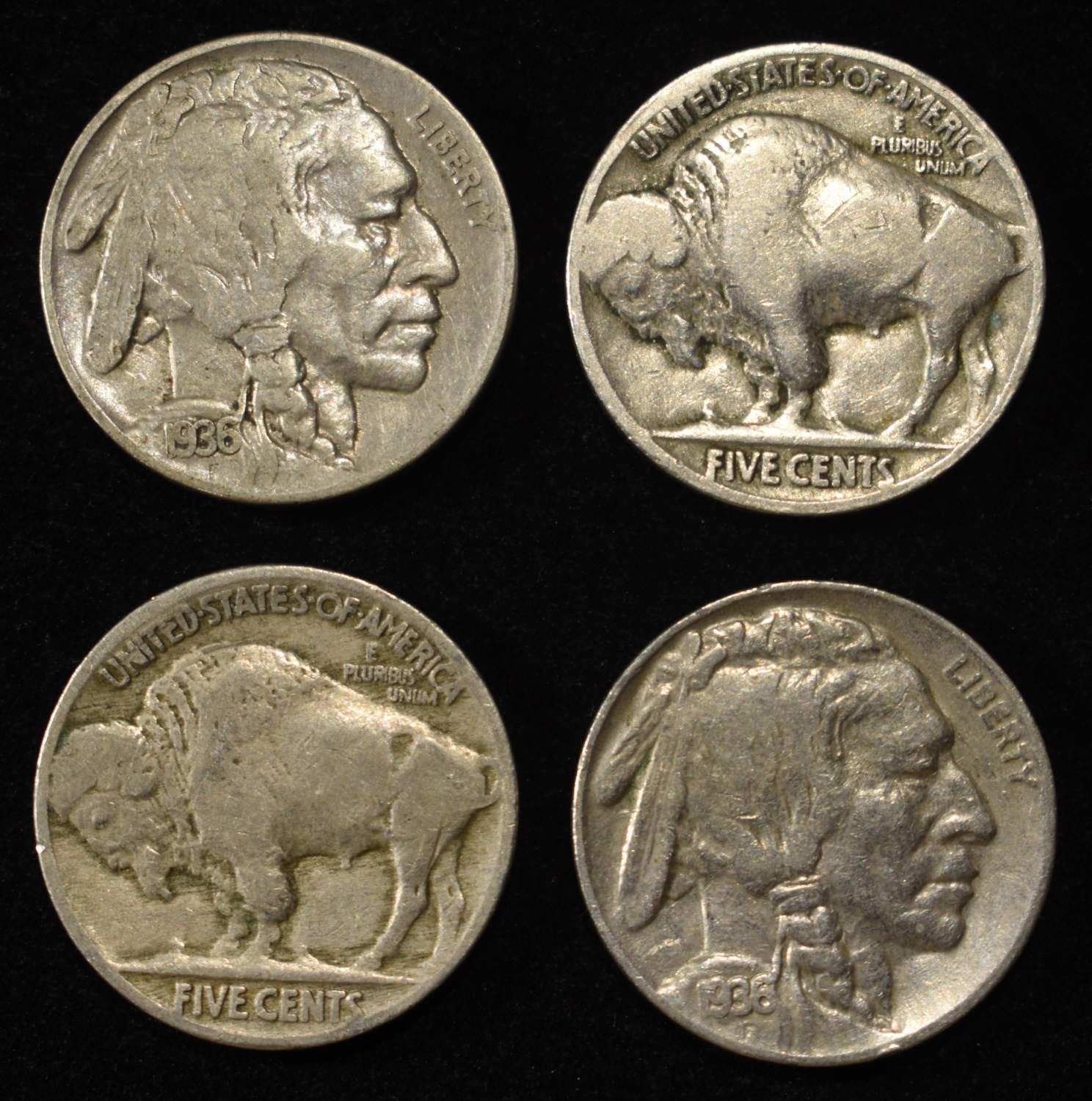 (50) BUFFALO NICKELS