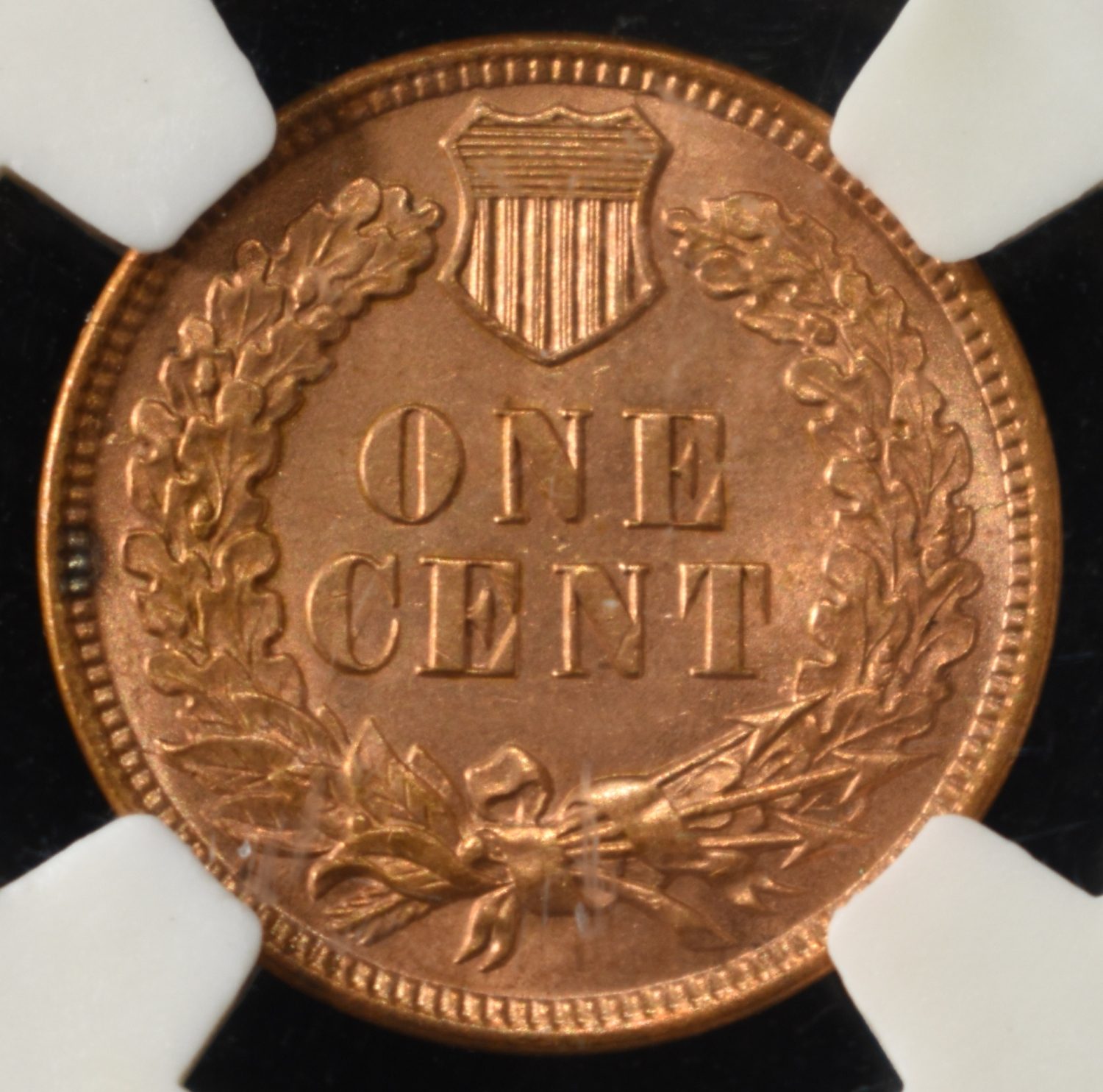1906 INDIAN HEAD CENT PGA CH/GEM BU RD