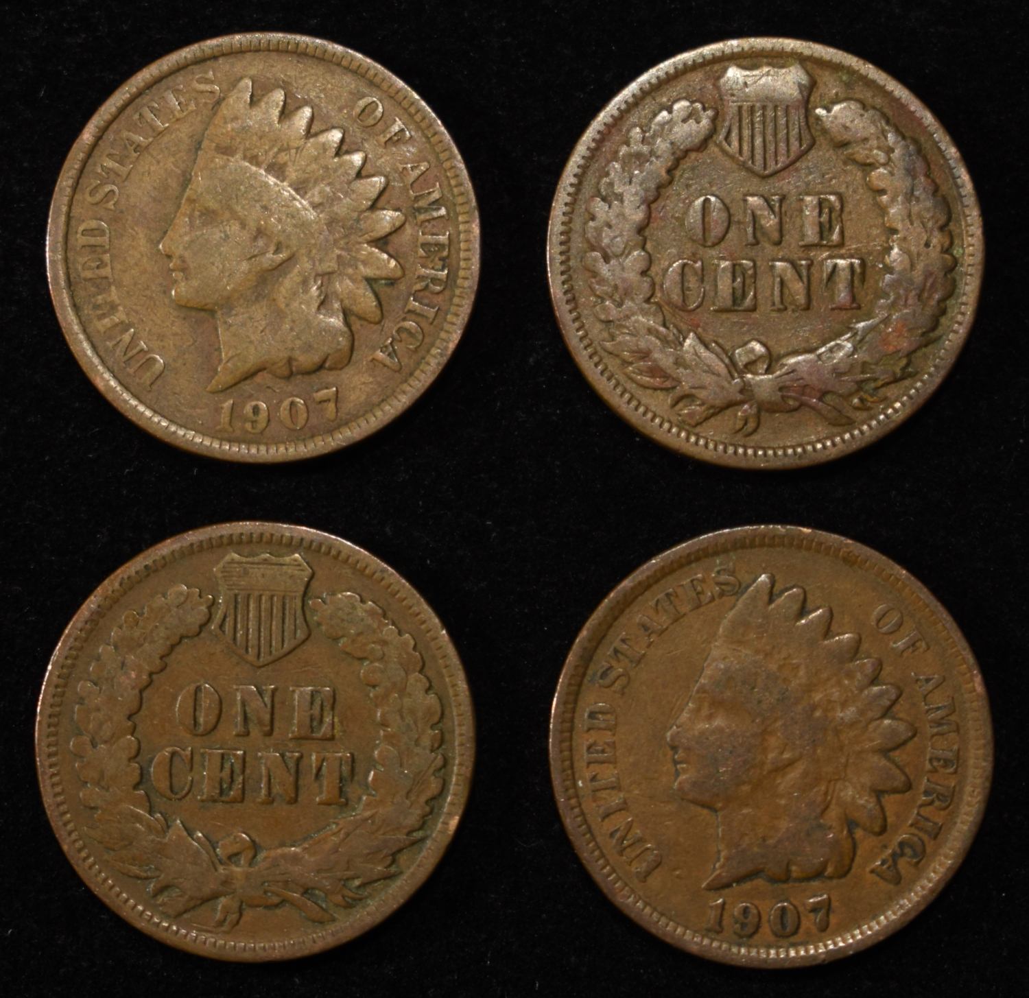 (50) INDIAN CENTS