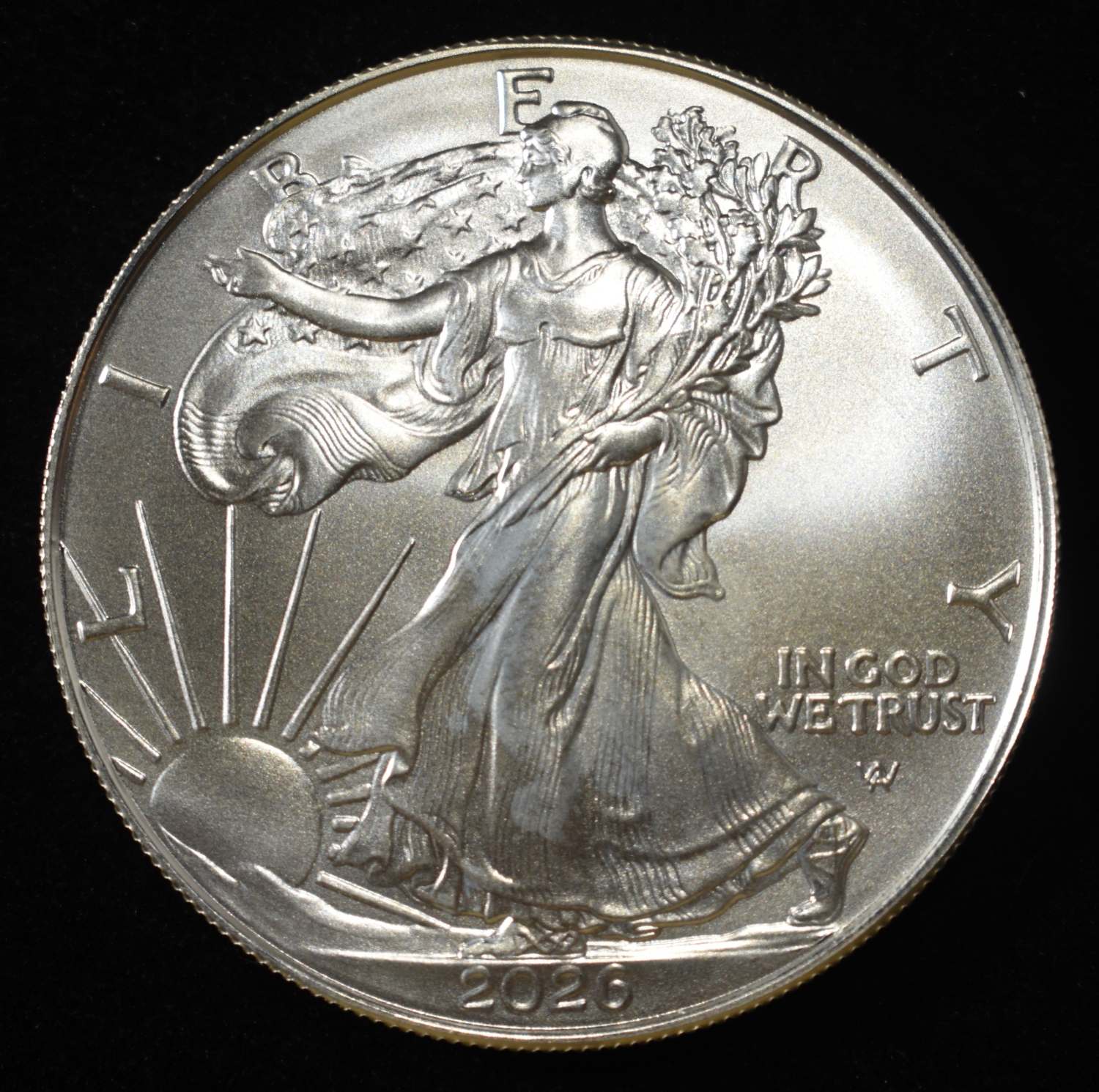 2026 AMERICAN SILVER EAGLE