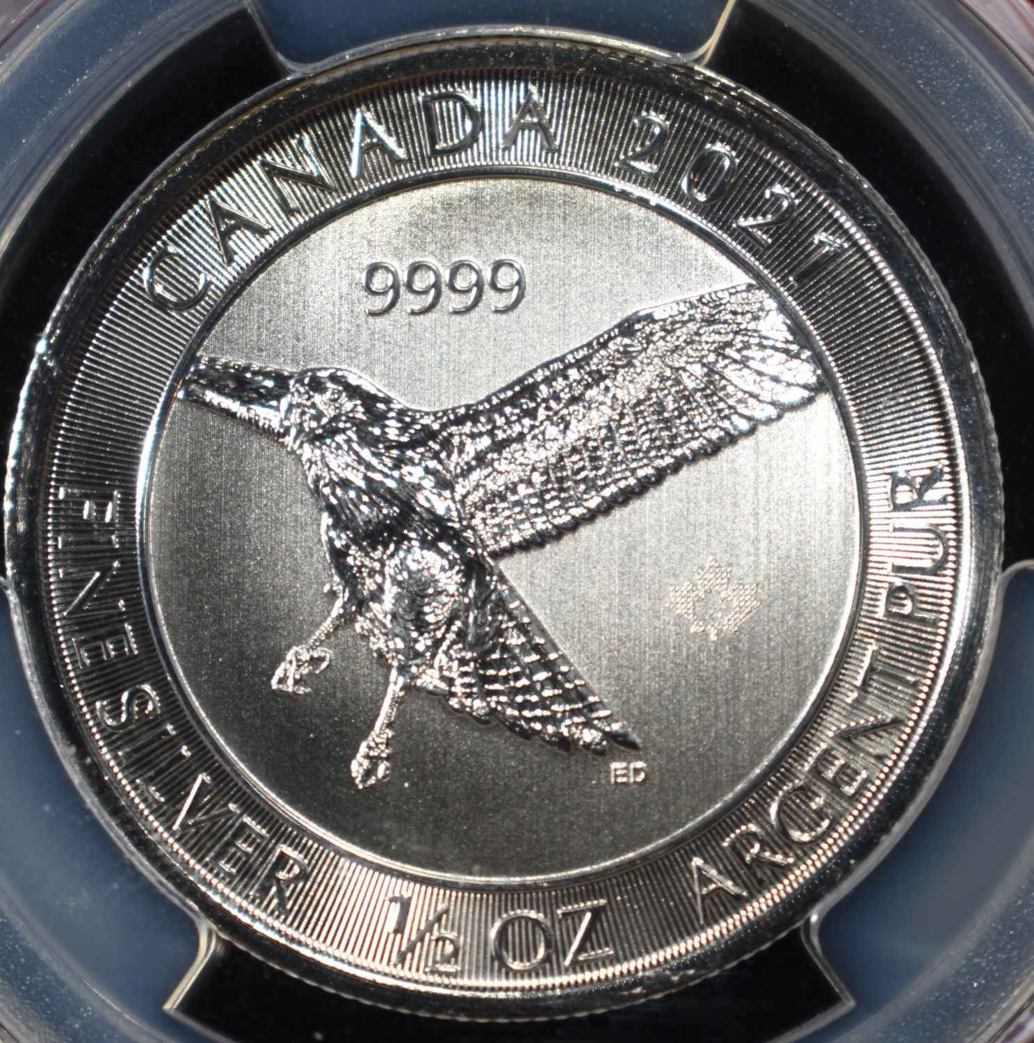 2021 CANADA RED-TAILED HAWK 1/2oz SILVER PCGS MS69