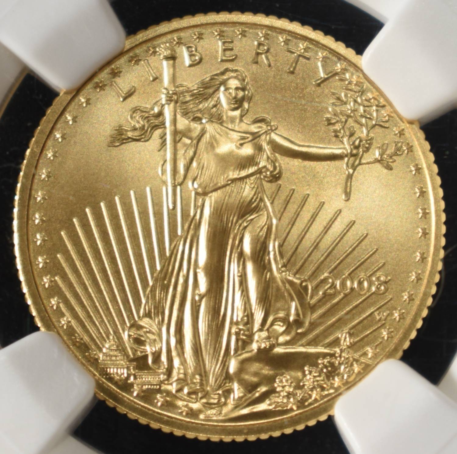 2008-W BURNISHED 1/4 OZ $10 GOLD EAGLE NGC MS-70