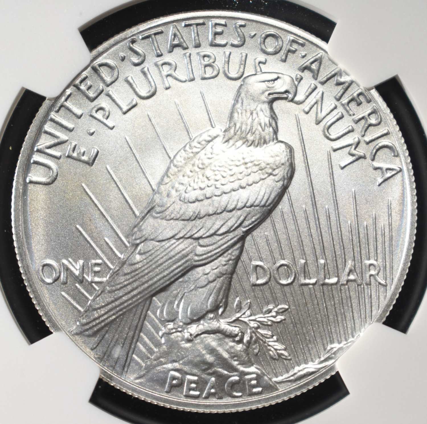 2024 PEACE DOLLAR NGC MS70 EARLY RELEASES