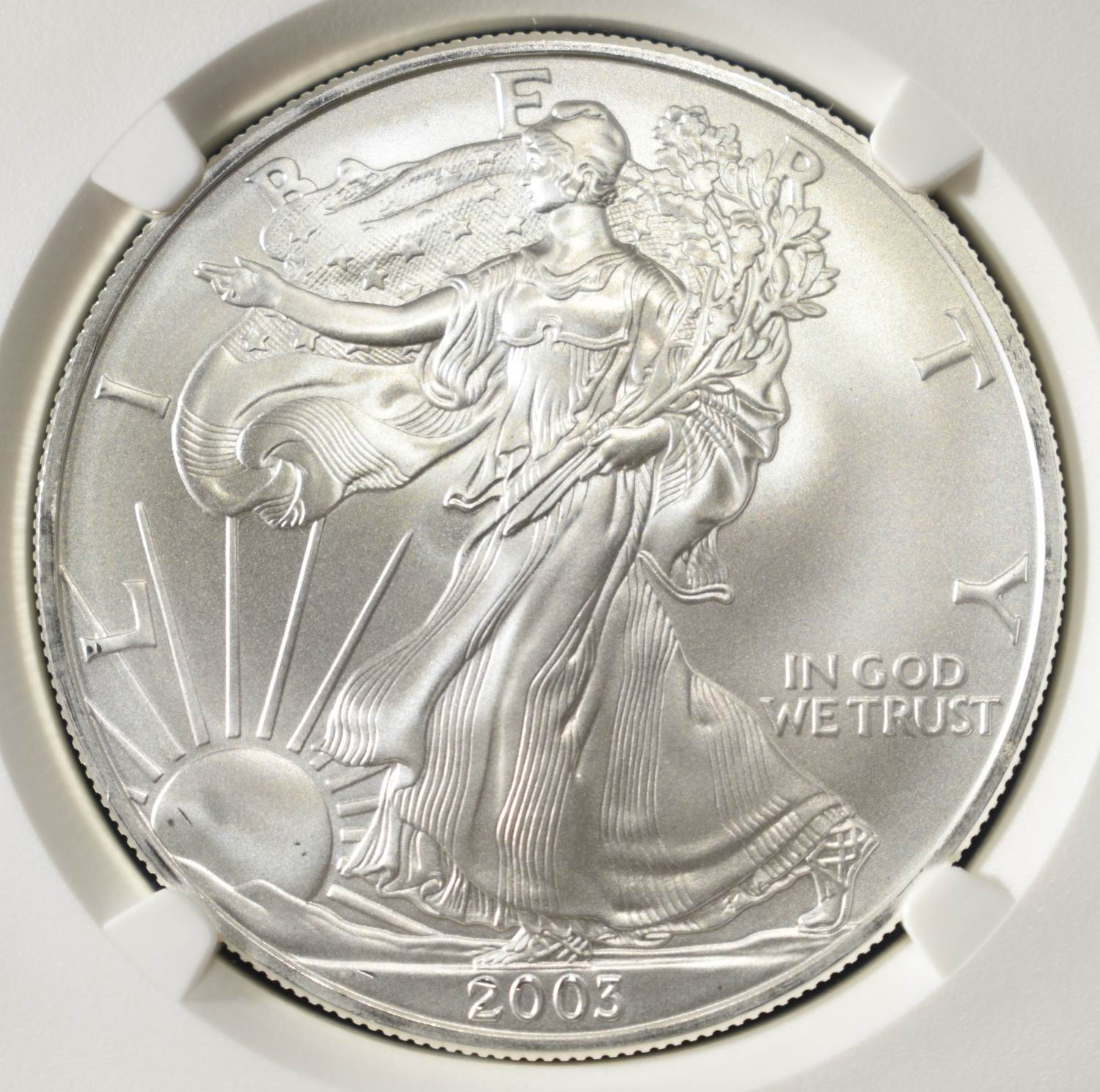 2003 AMERICAN SILVER EAGLE NGC MS69