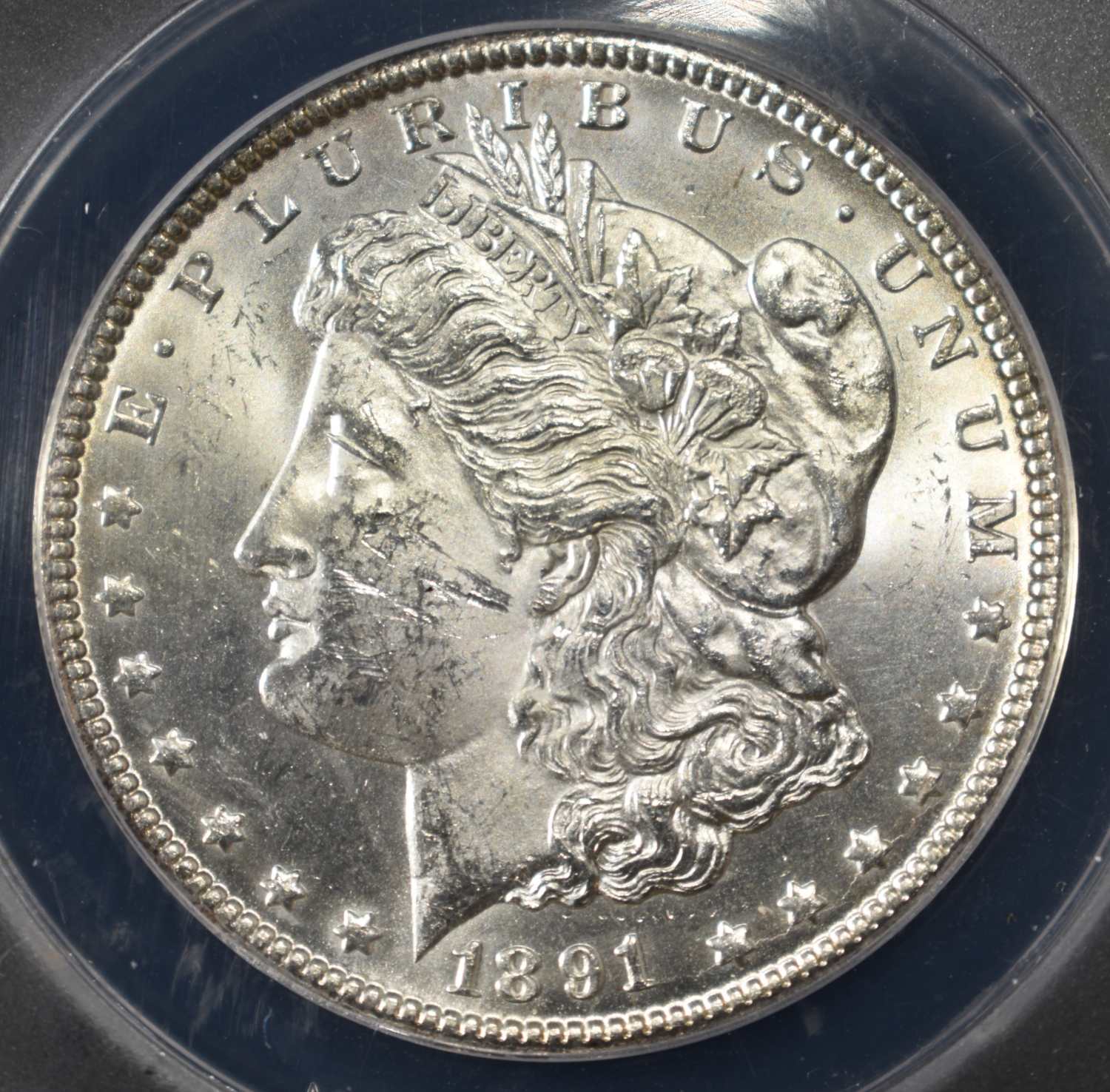 1891-CC MORGAN DOLLAR ANACS MS61