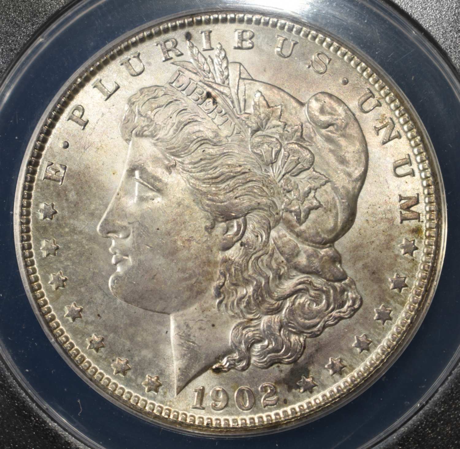 1902-O MORGAN DOLLAR MS 60 DETAILS CLEANED ANACS
