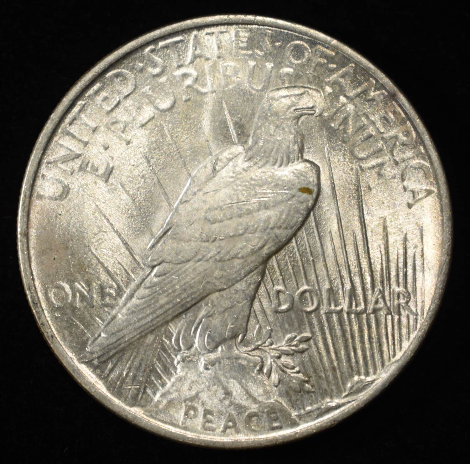 1924 PEACE DOLLAR W-FEATHERS